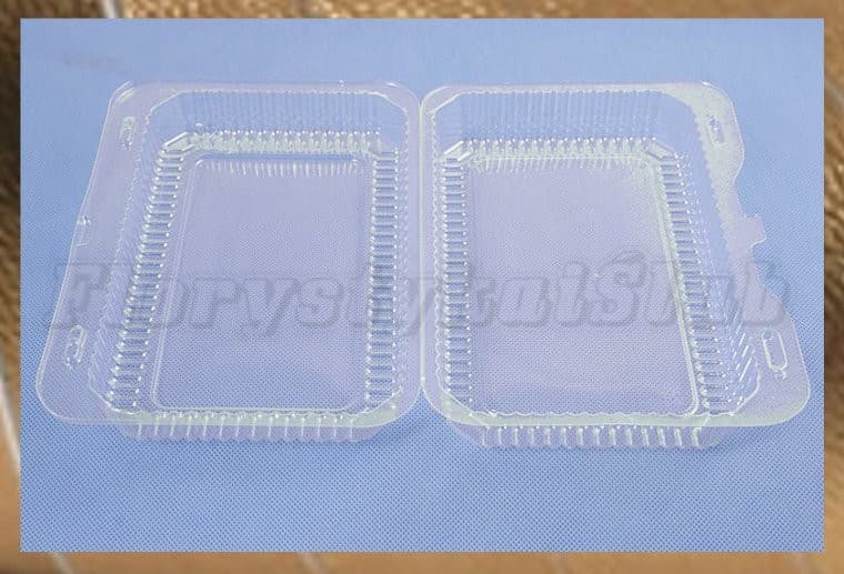 Przeźroczyste pudełko na ciasto 24x17x6,5cm 10szt.