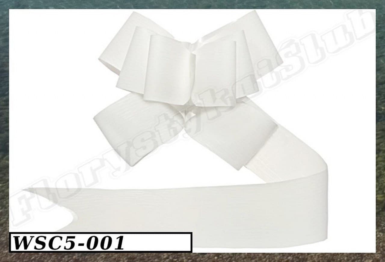 Wstążka Ściągana 5cm/10szt, biała