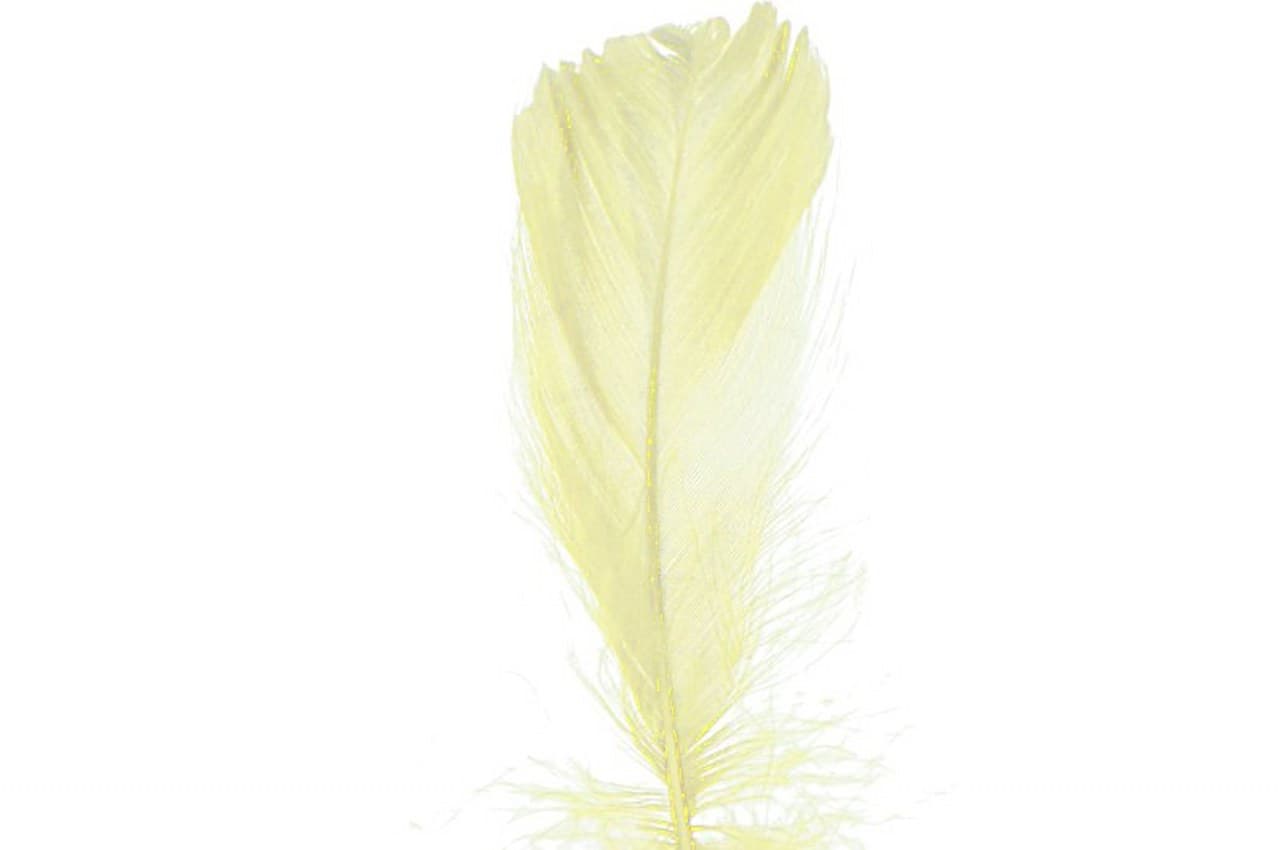 Piórka w torebce foliowej 15 gram, kremowe