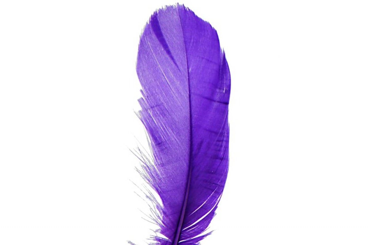 Piórka w torebce foliowej 15 gram, fioletowe