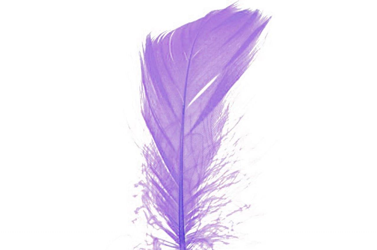 Piórka w torebce foliowej 15 gram, wrzosowe