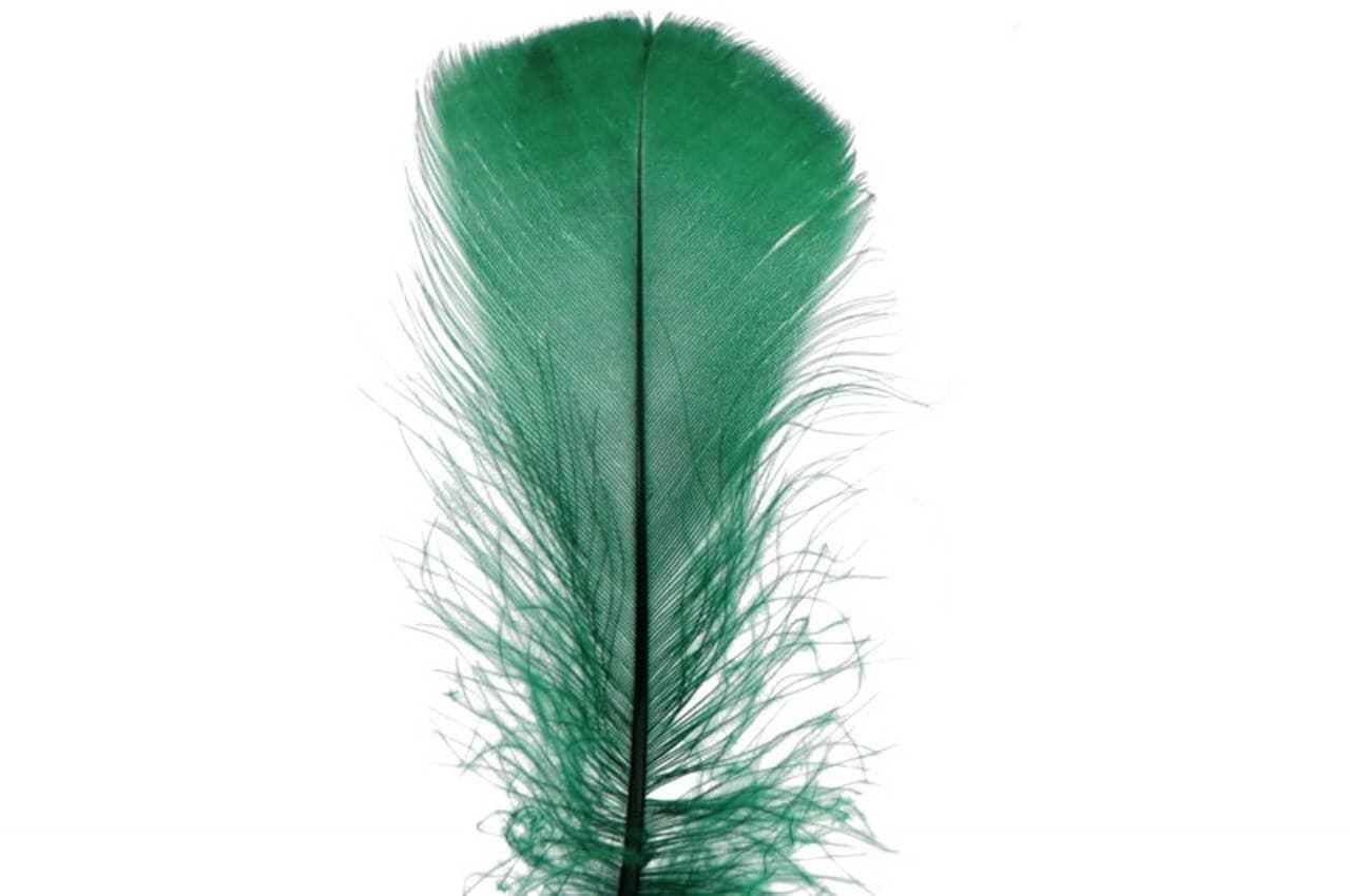 Piórka w torebce foliowej 15 gram, ciemnozielone