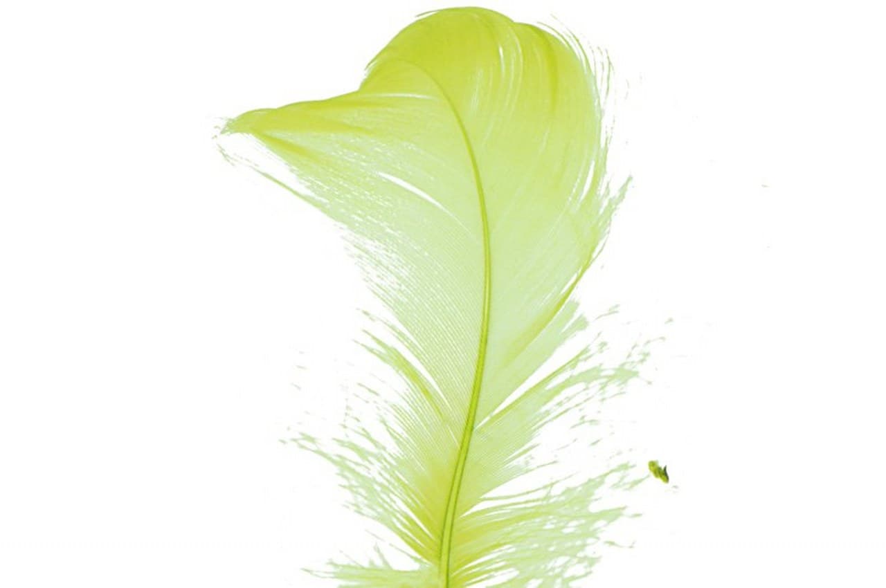 Piórka w torebce foliowej 15 gram, seledynowe