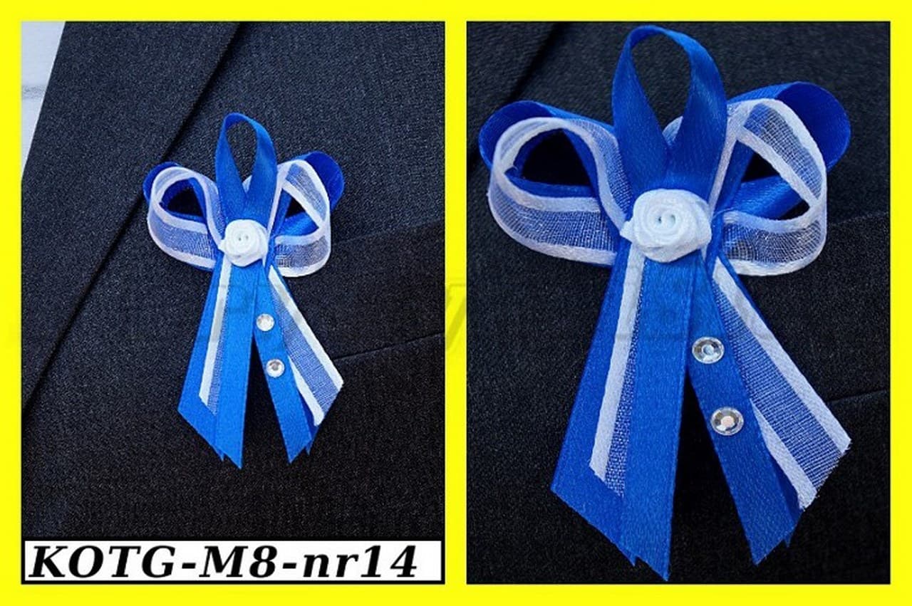 Kotyliony dla gości z dżetami chabrowe