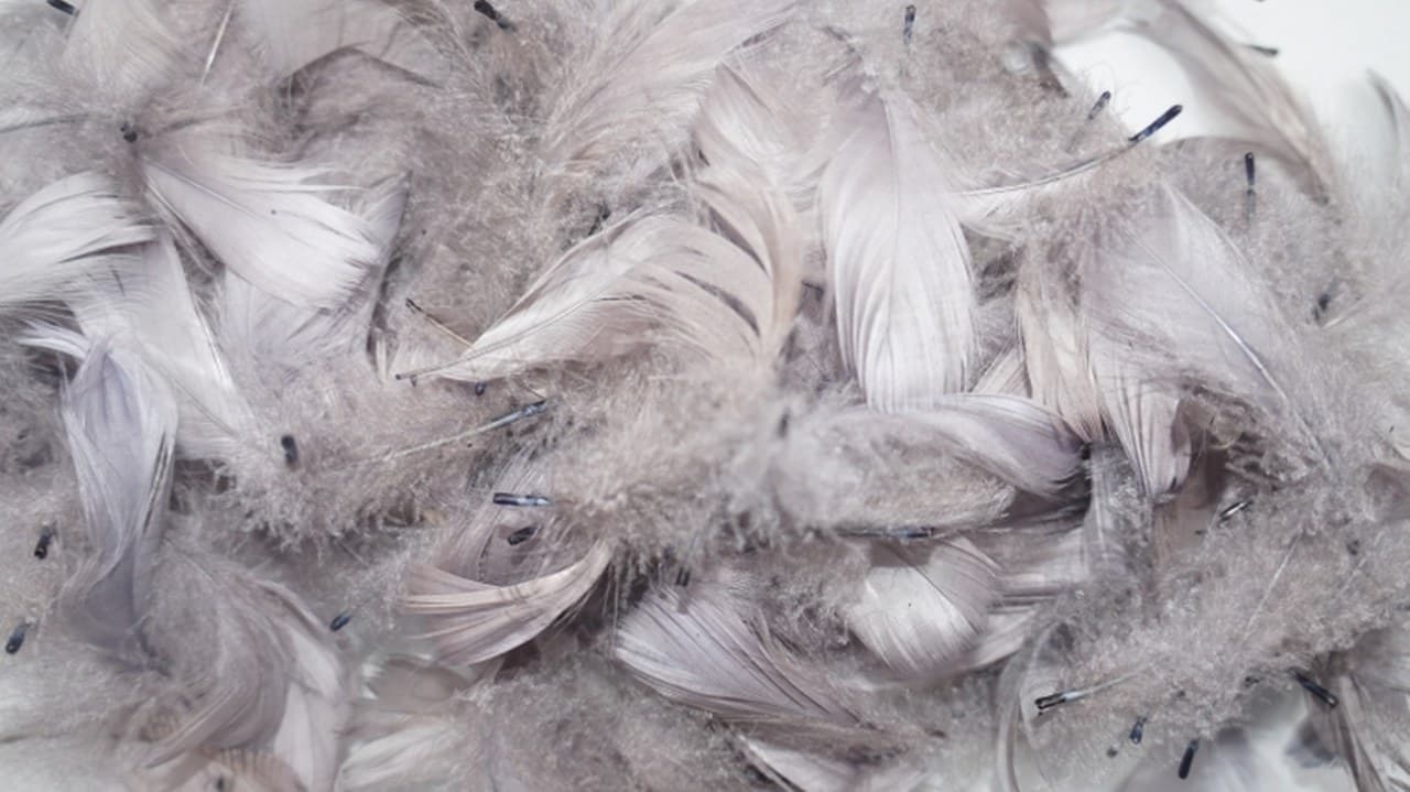 Piórka w torebce foliowej 15 gram, srebrne