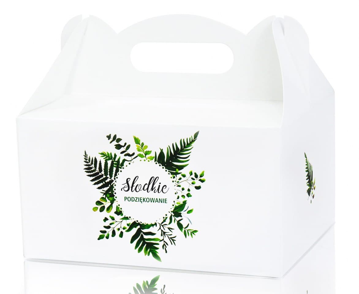 Pudełko tekturowe na ciasto 9x14x19, paprotki