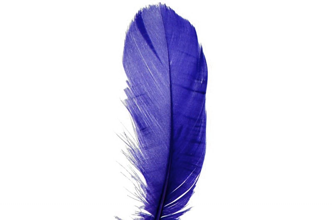 Piórka w torebce foliowej 15 gram, granatowy