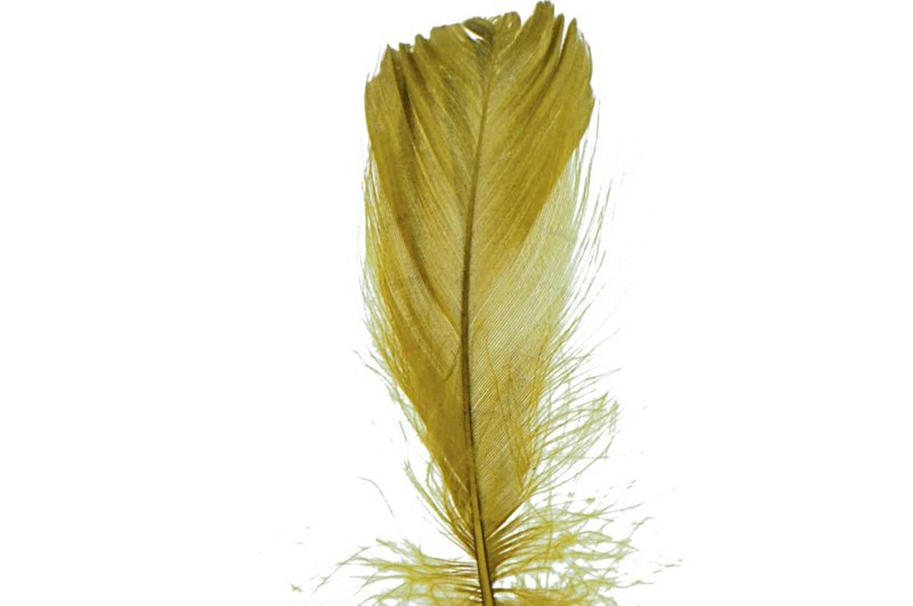 Piórka w torebce foliowej 15 gram, oliwka