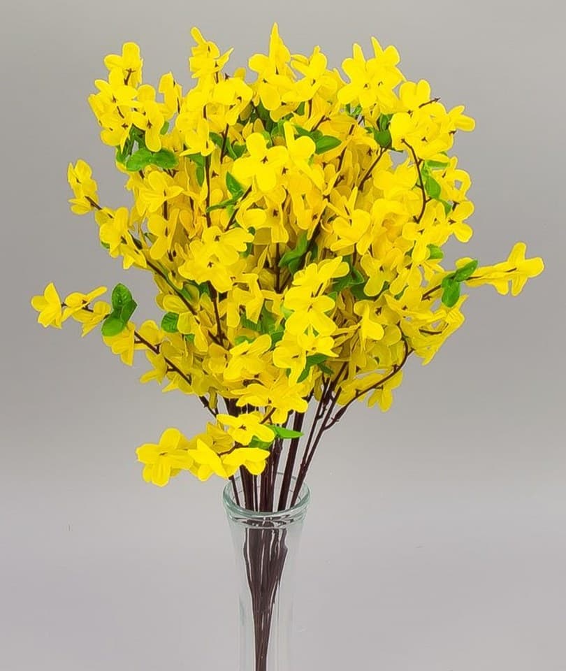 Gałązki forsycji wys. 54cm/12sztuk