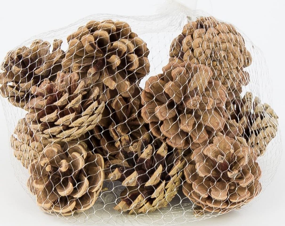 Szyszki, szyszka sosnowa naturalna, 3x4cm/18szt