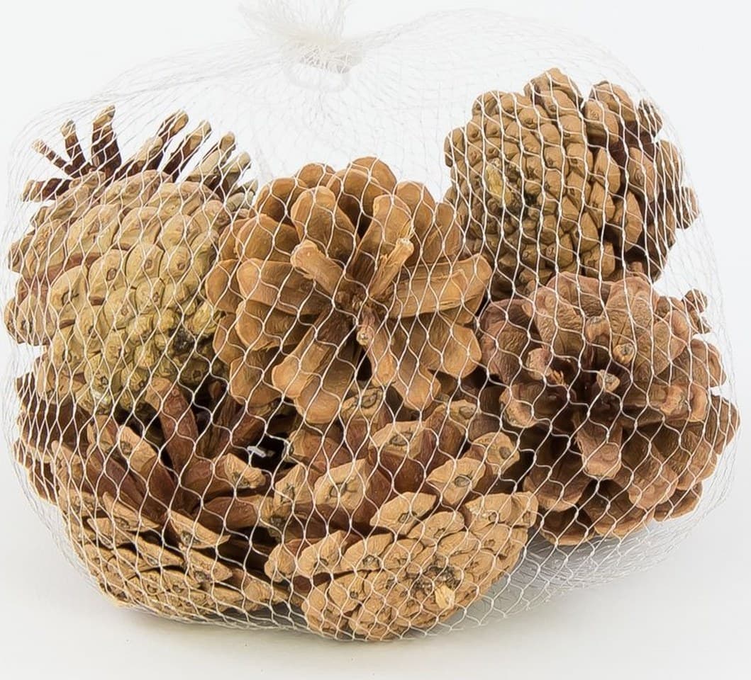 Szyszki, szyszka sosnowa naturalna, 5x6cm/12szt