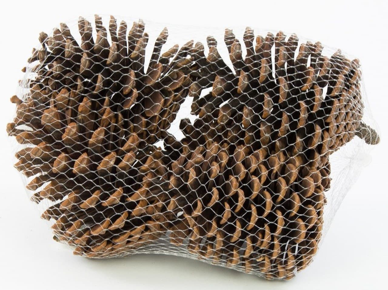 Szyszki, szyszka sosnowa naturalna, 8x11cm/6szt