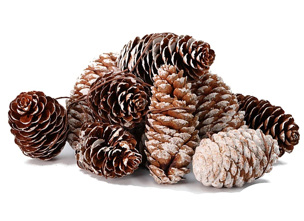 Szyszka sosnowa ośnieżona na drucie 8cm/12szt