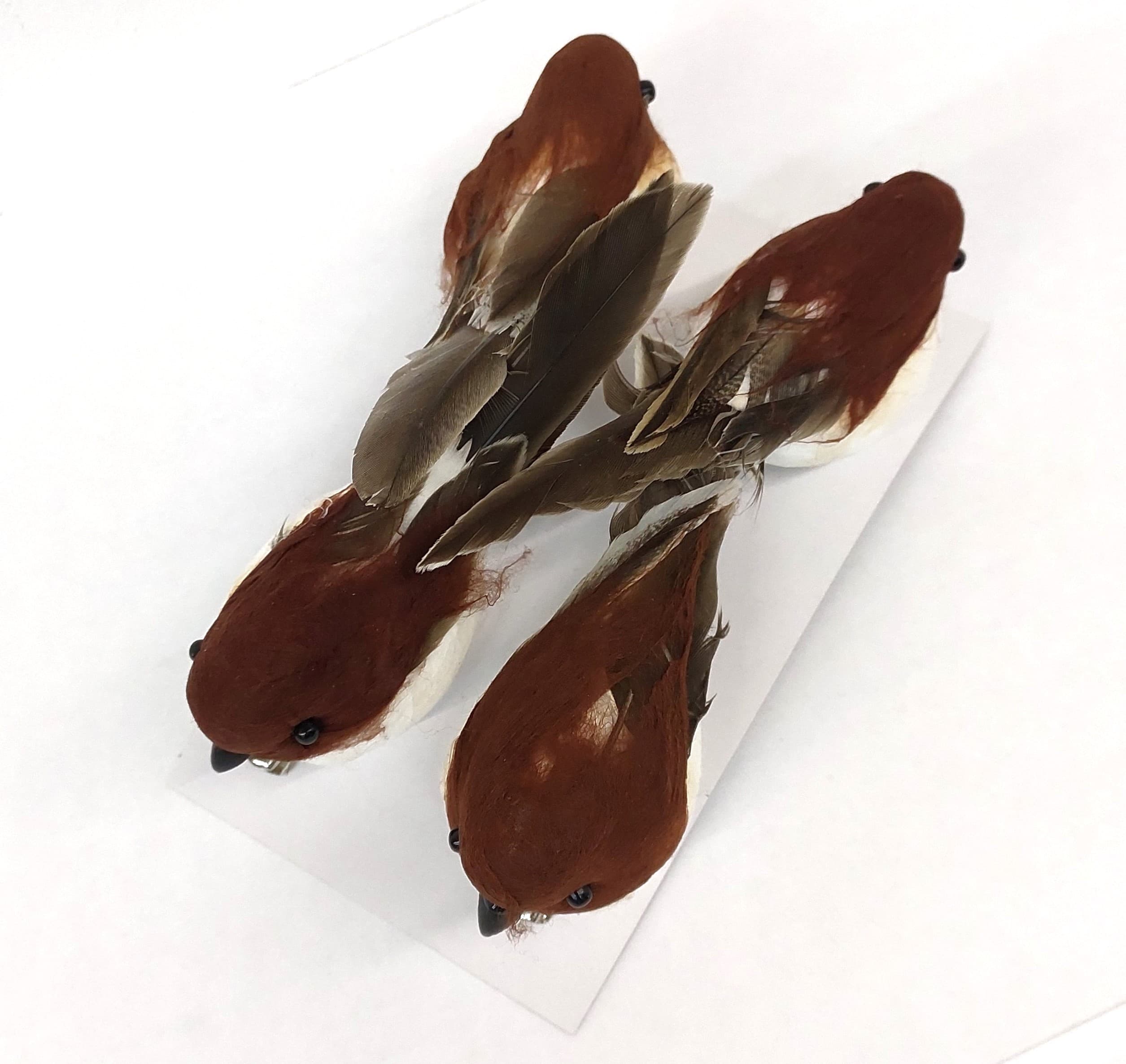 Ptaszki średnie brązowe na klipsie, 10x3cm/4 szt.