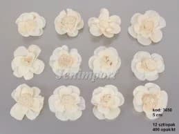 Kwiat wybielany Shola Potea 5cm/12szt