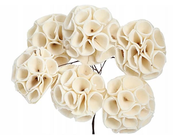 Shola Lotus - 6 cm na druciku - 6 szt.