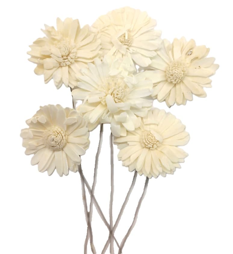 Shola Sunflower - 6 cm na druciku - 6 szt.