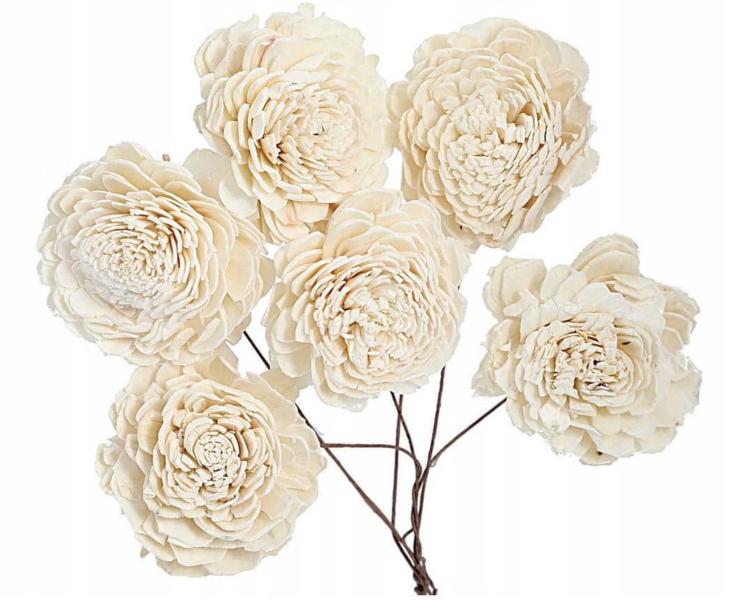 Shola Róża Belly - 6 cm na druciku - 6 szt.