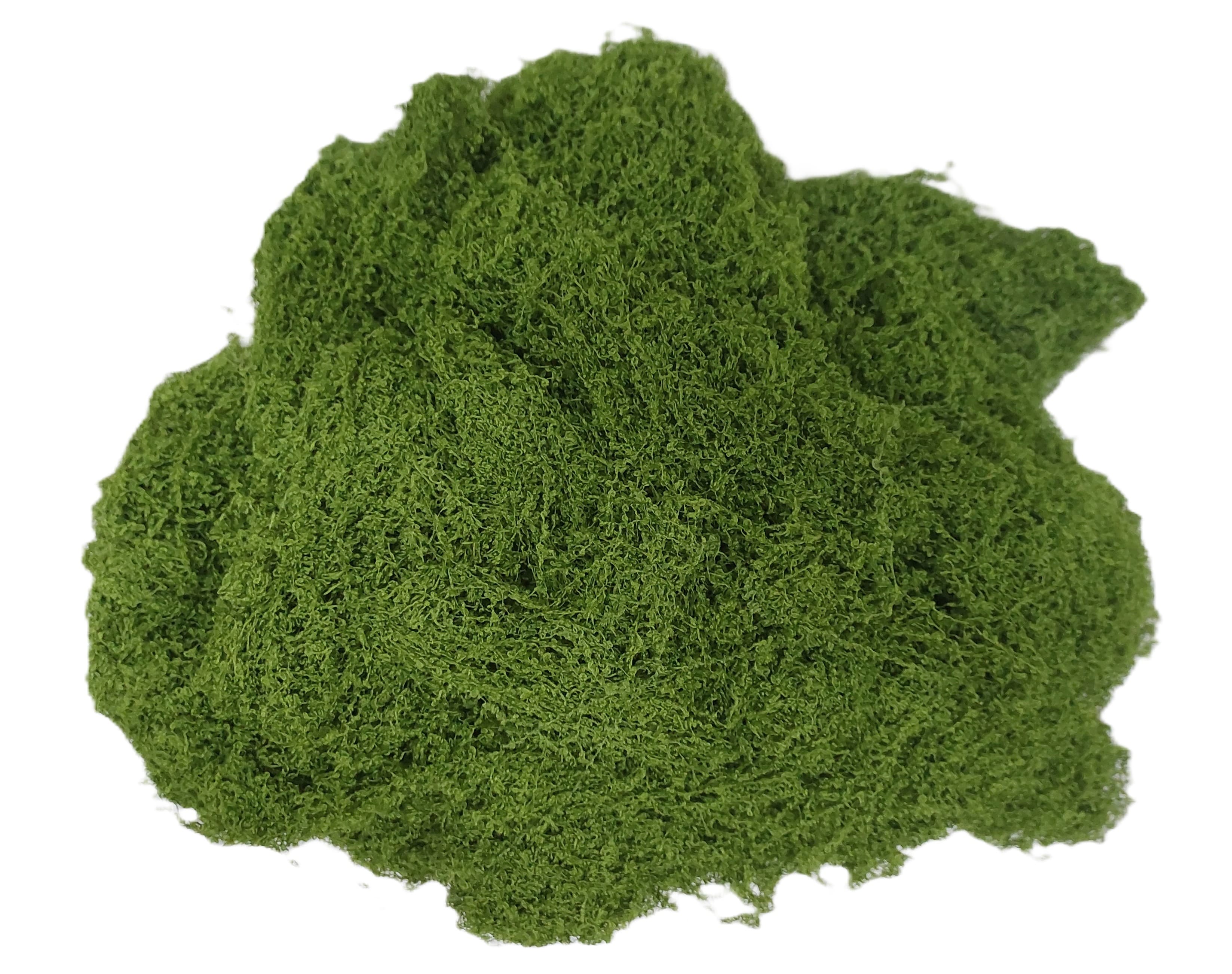 Sztuczny mech,wypełniacz, 100g, ciemnozielony