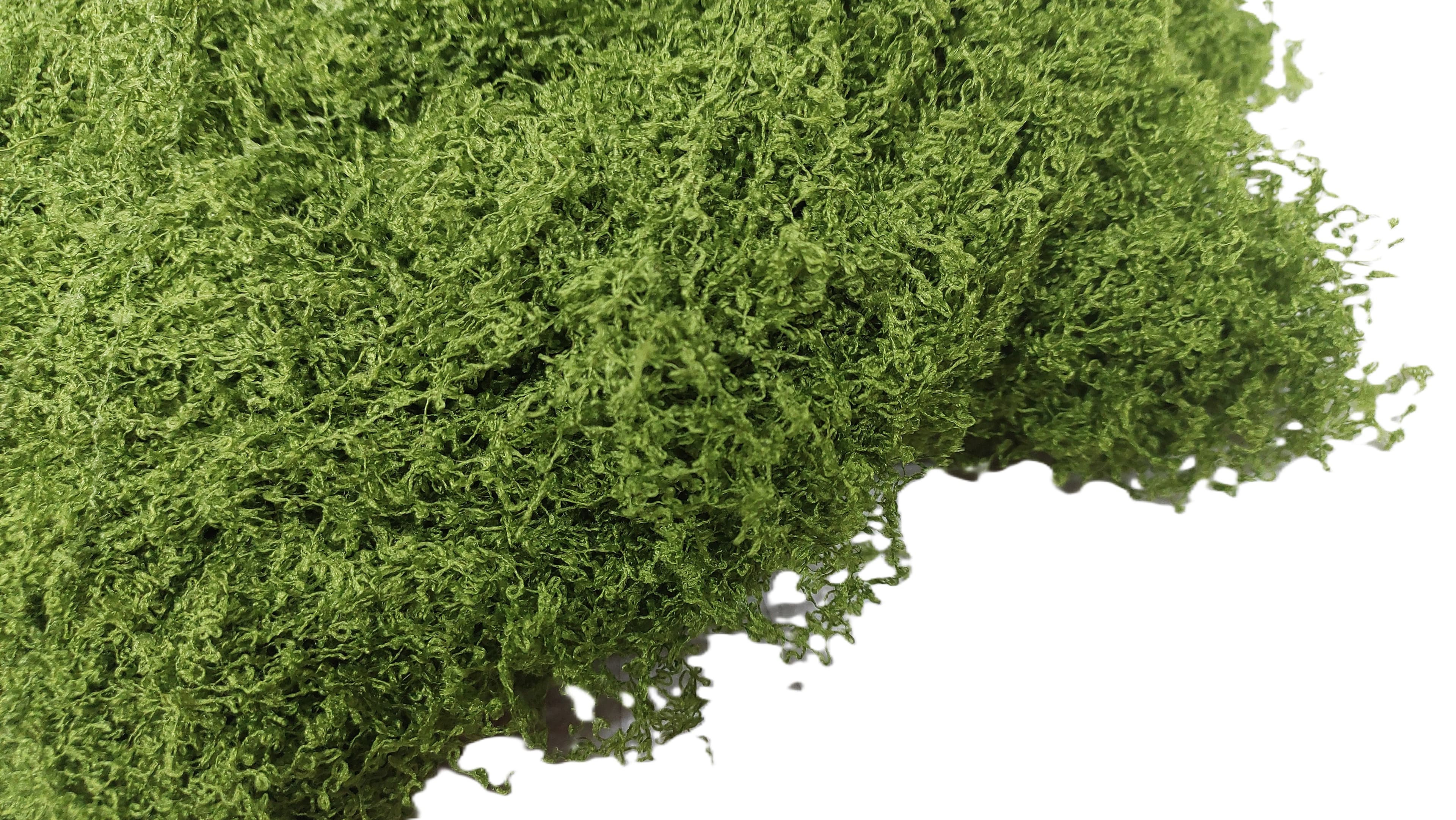 Sztuczny mech,wypełniacz, 100g, ciemnozielony