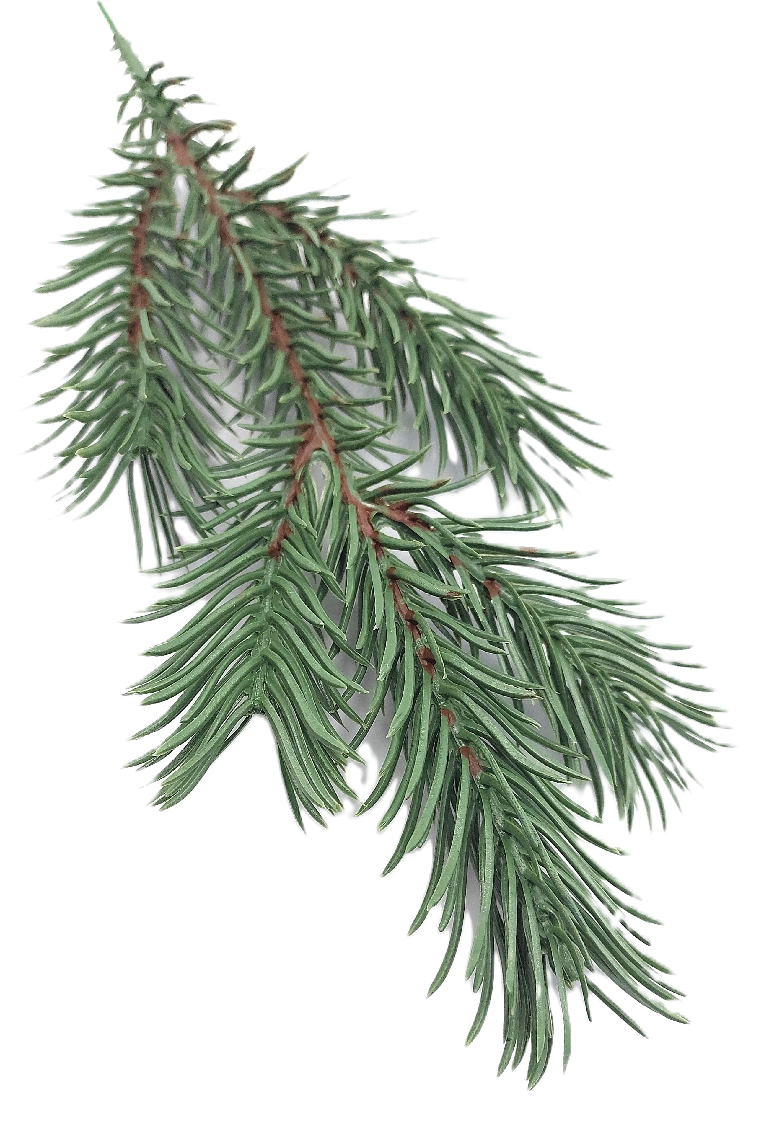 Sztuczna Gałązka świąteczna iglasta zielona 25 cm