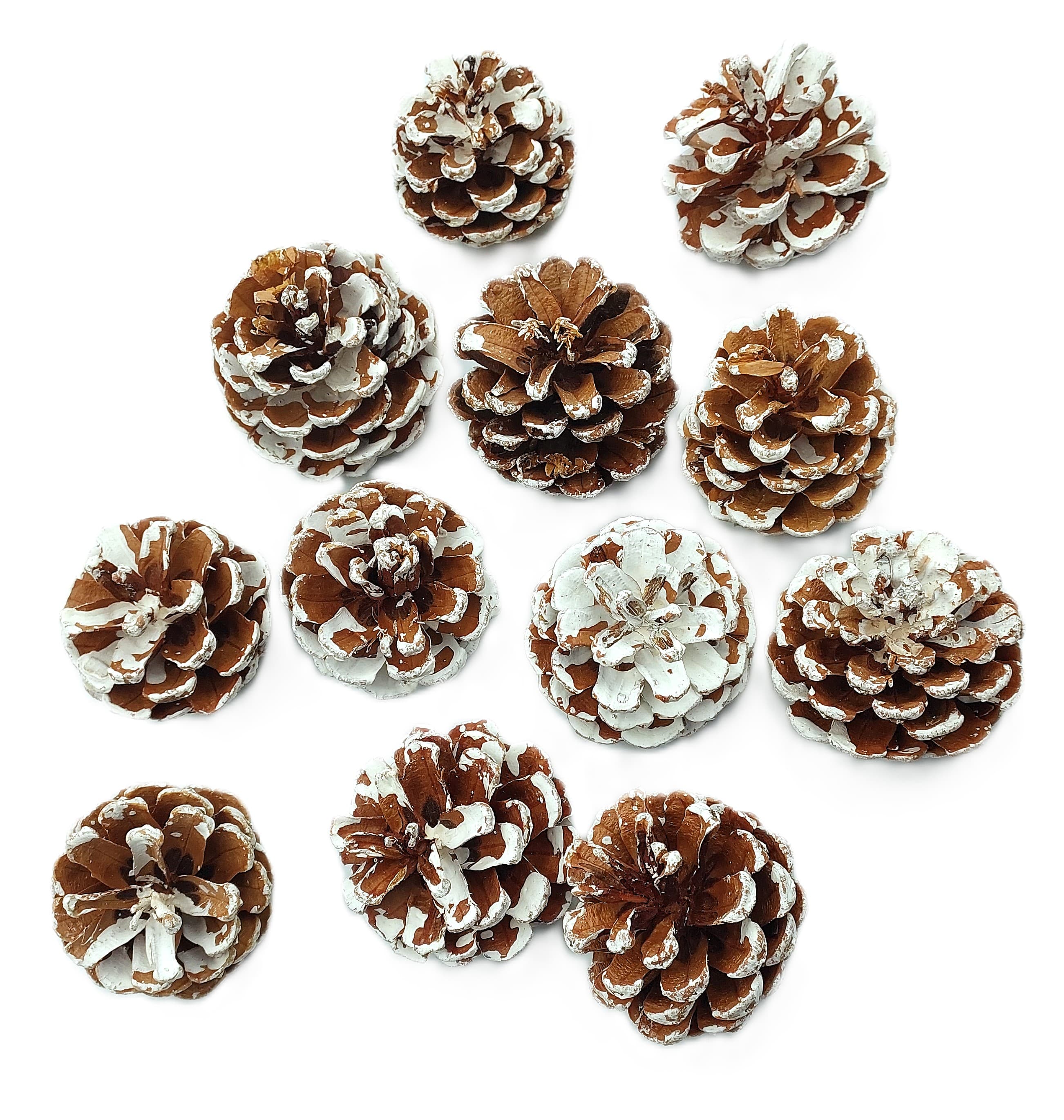 Szyszki naturalne ośnieżone 6 cm - 12 sztuk