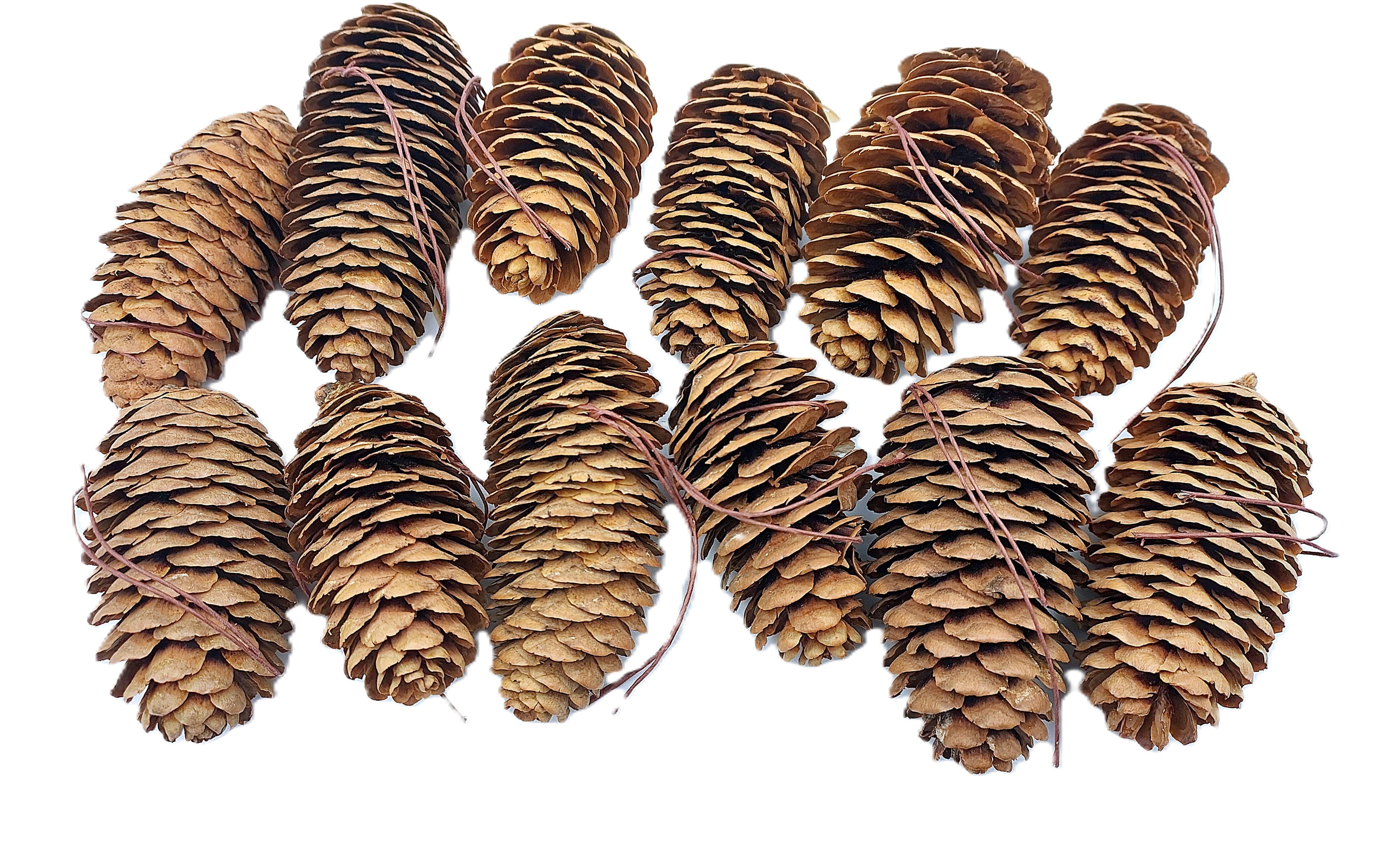 Szyszka sosnowa naturalna/brąz-na drucie 7cm/12szt