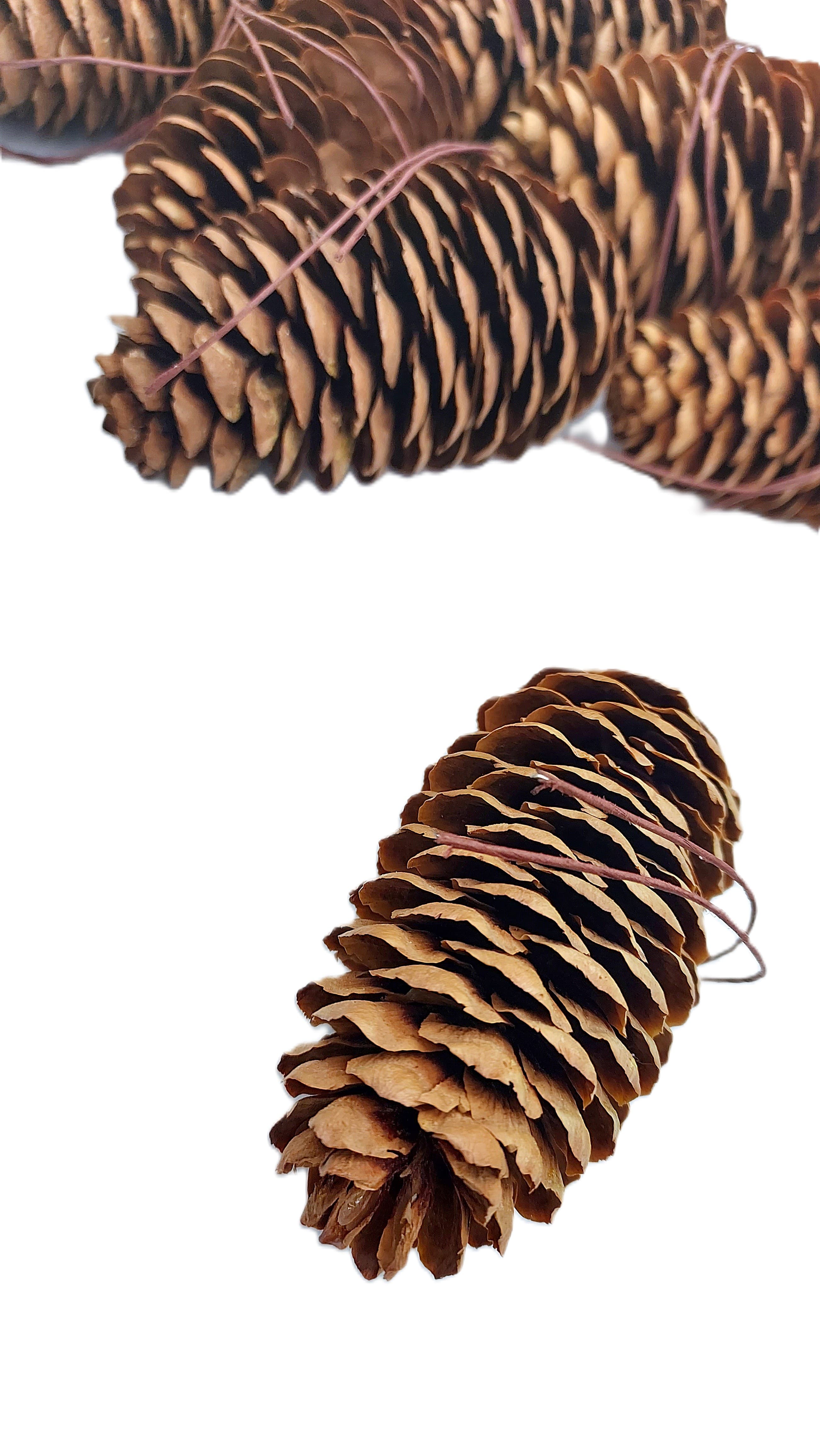 Szyszka sosnowa naturalna/brąz-na drucie 7cm/12szt
