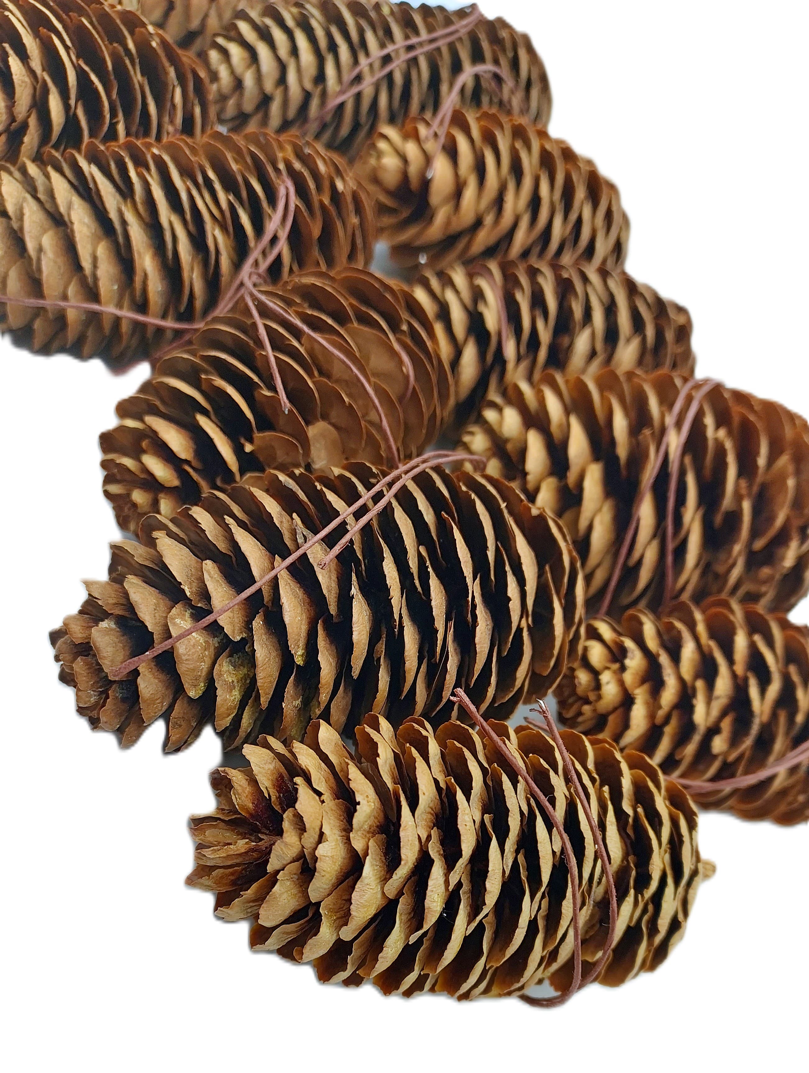 Szyszka sosnowa naturalna/brąz-na drucie 7cm/12szt