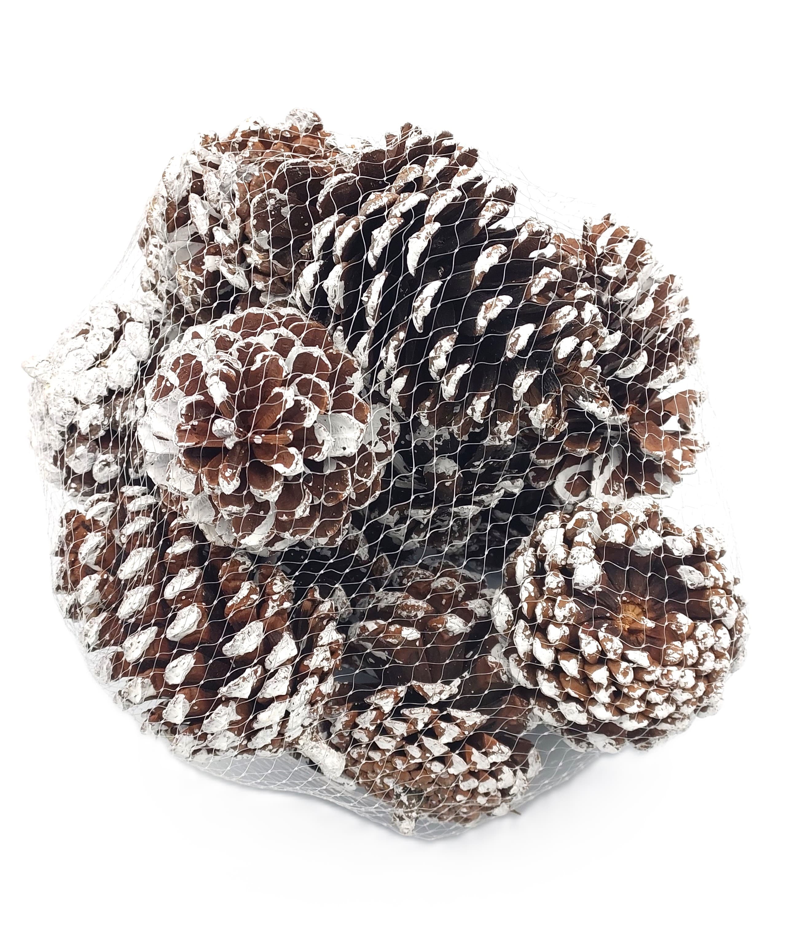 Szyszka sosnowa GIGANT 8 cm - ośnieżona 12 szt.