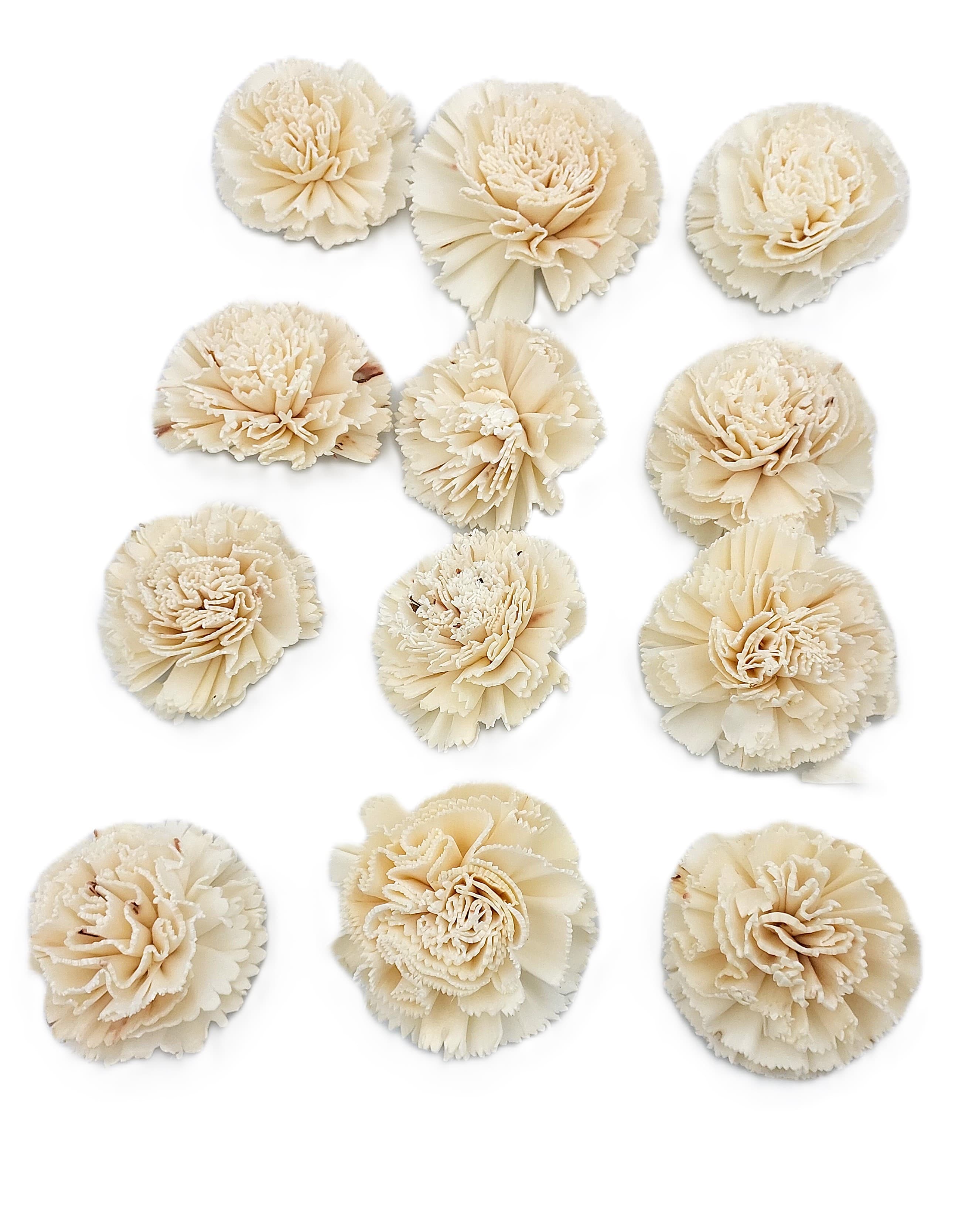 Shola główki Goździk duży 8 cm - 12 sztuk