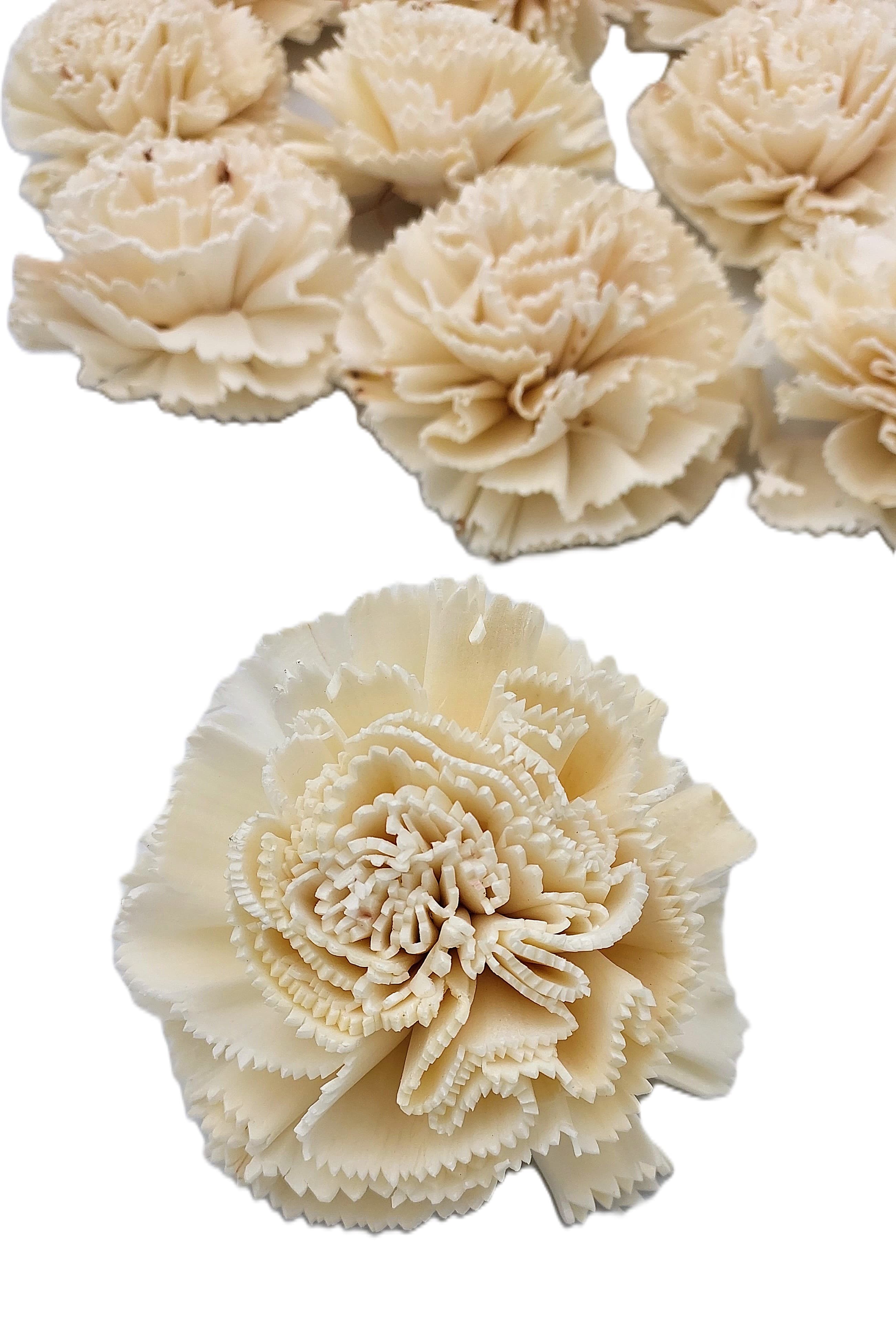 Shola główki Goździk duży 8 cm - 12 sztuk