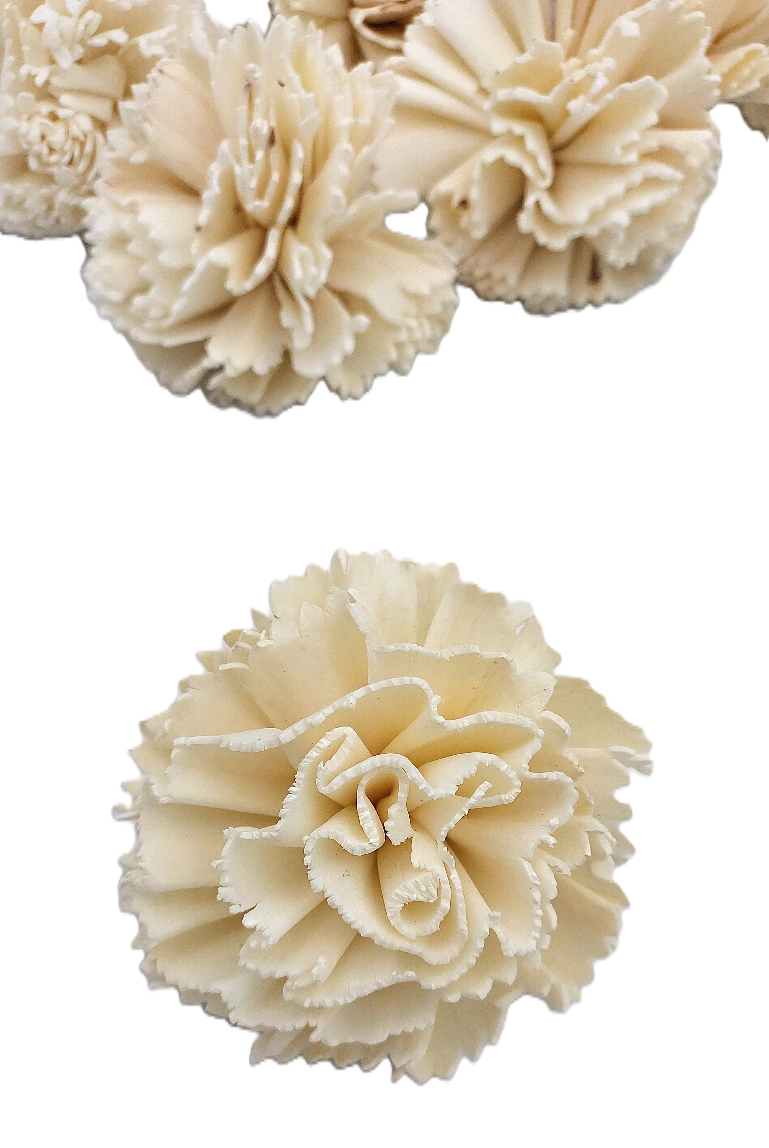 Shola główki Goździk mały 6 cm - 24 sztuk