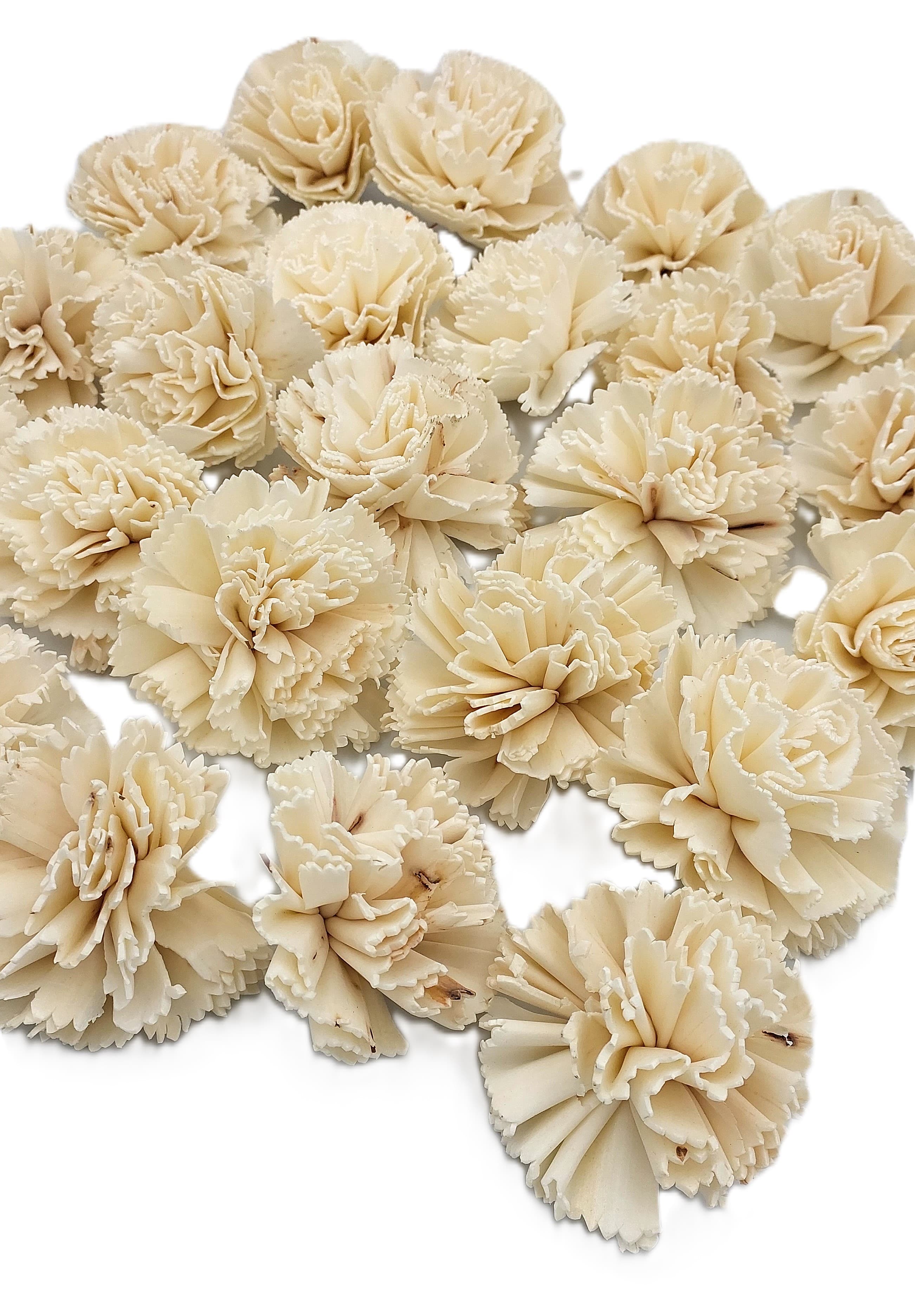 Shola główki Goździk mały 6 cm - 24 sztuk