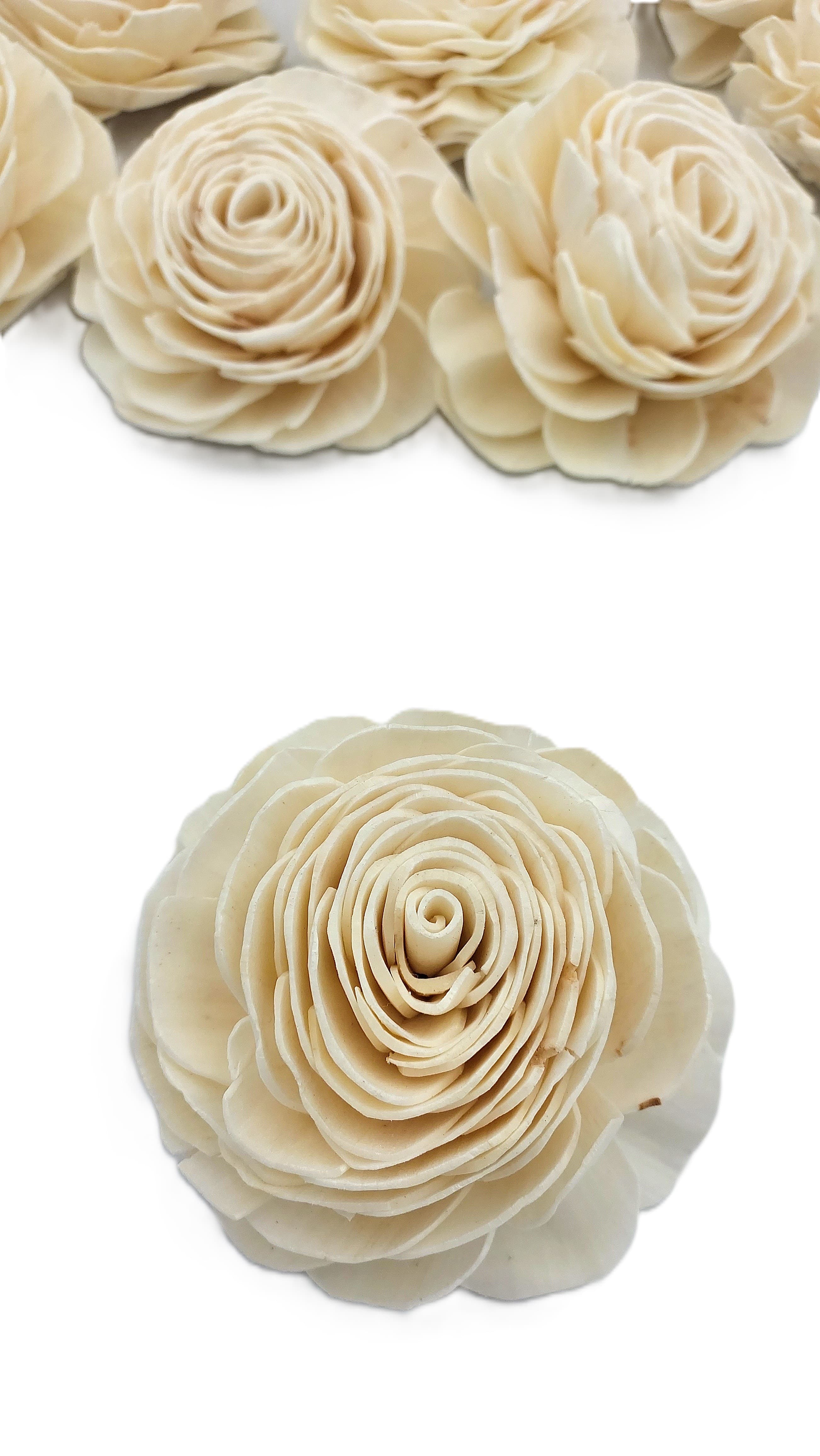 Shola główki Róża - Rosa duża 8 cm - 12 sztuk