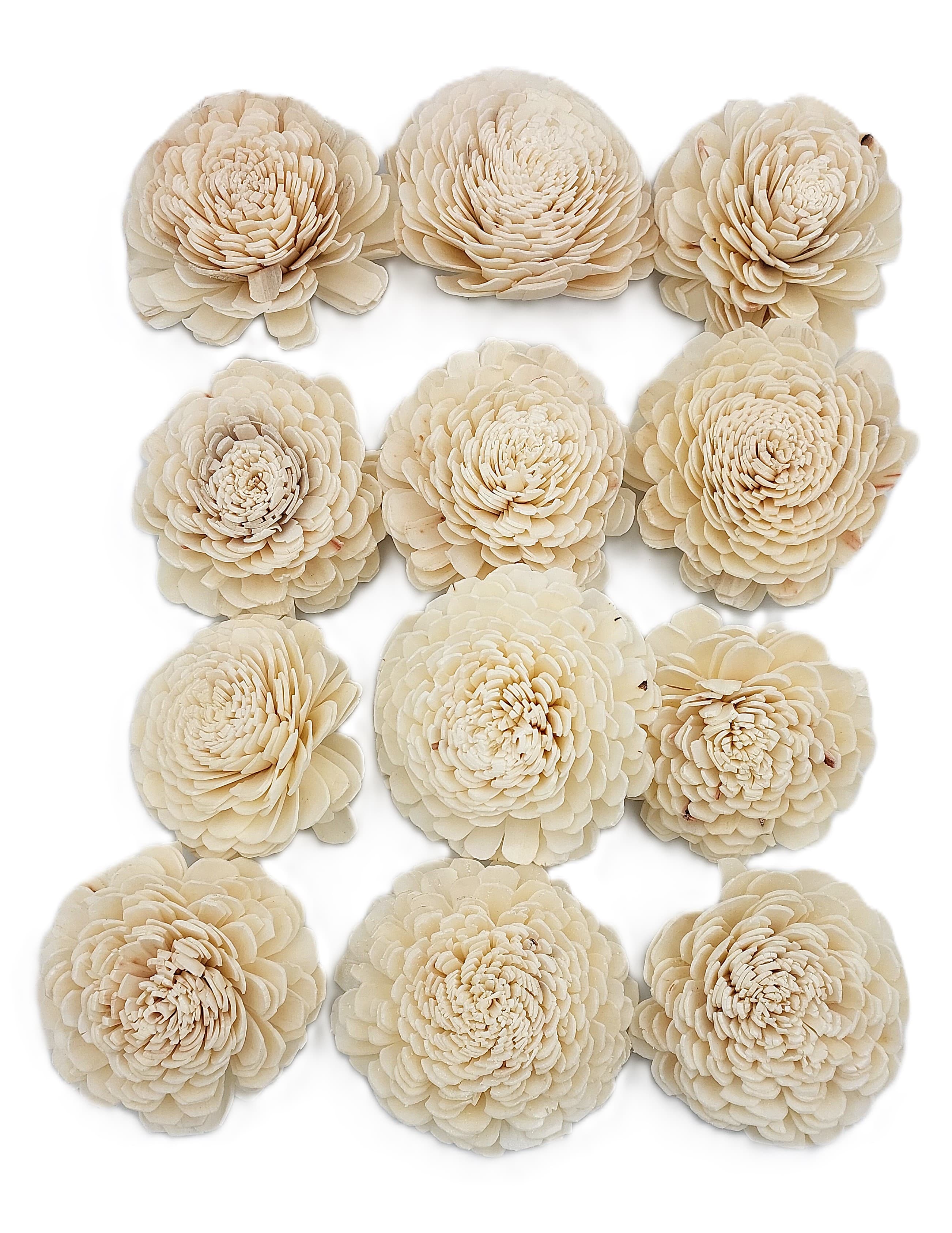 Shola główki Róża - Beli duża 8 cm - 12 sztuk
