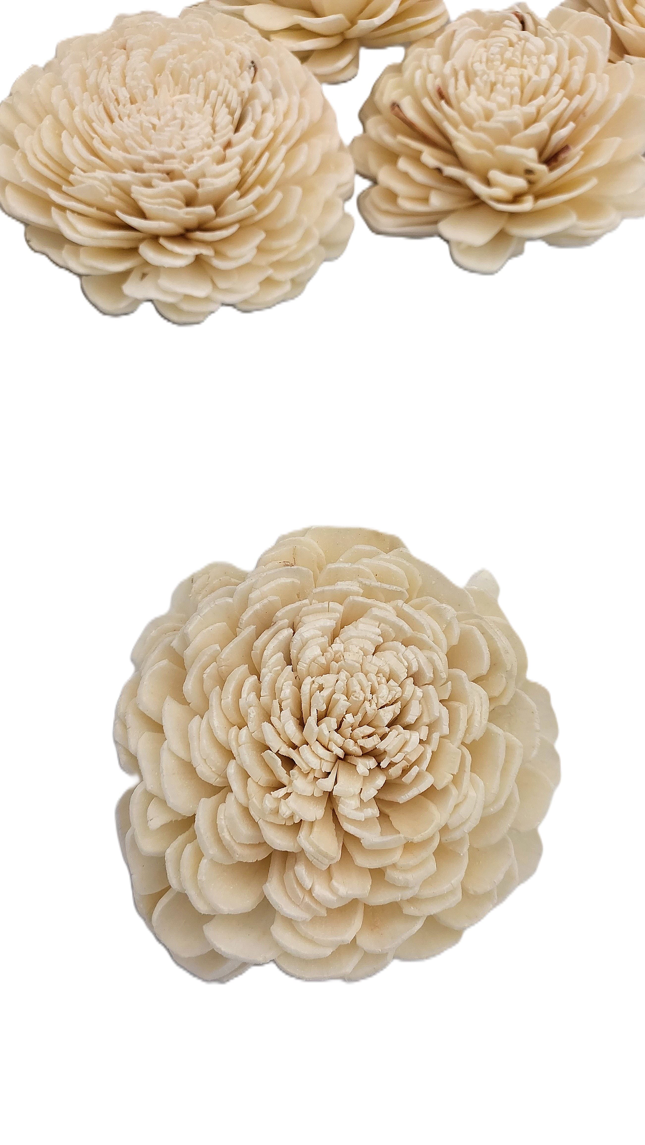 Shola główki Róża - Beli duża 8 cm - 12 sztuk