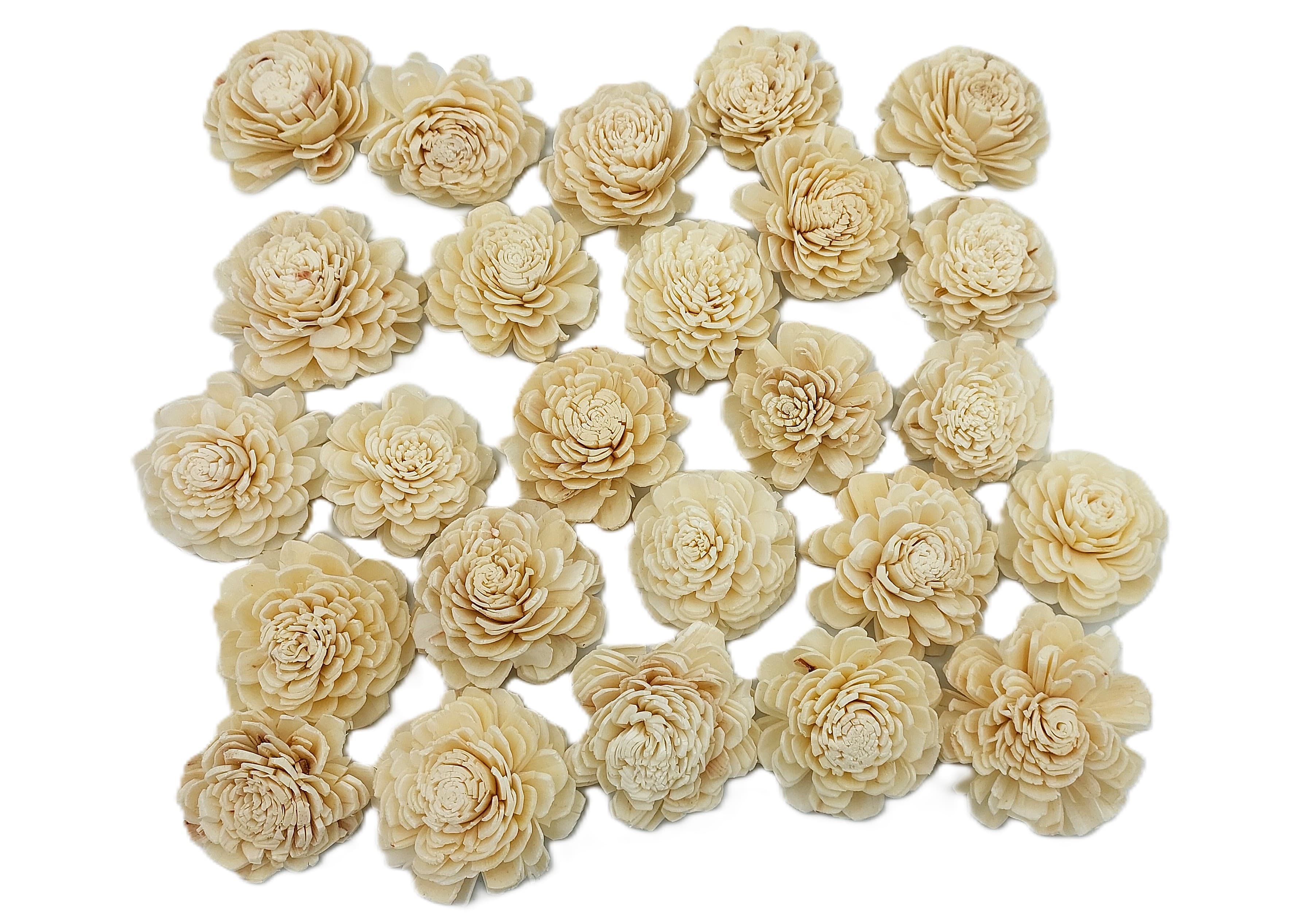 Shola główki Róża - Beli duża 6 cm - 24 sztuk