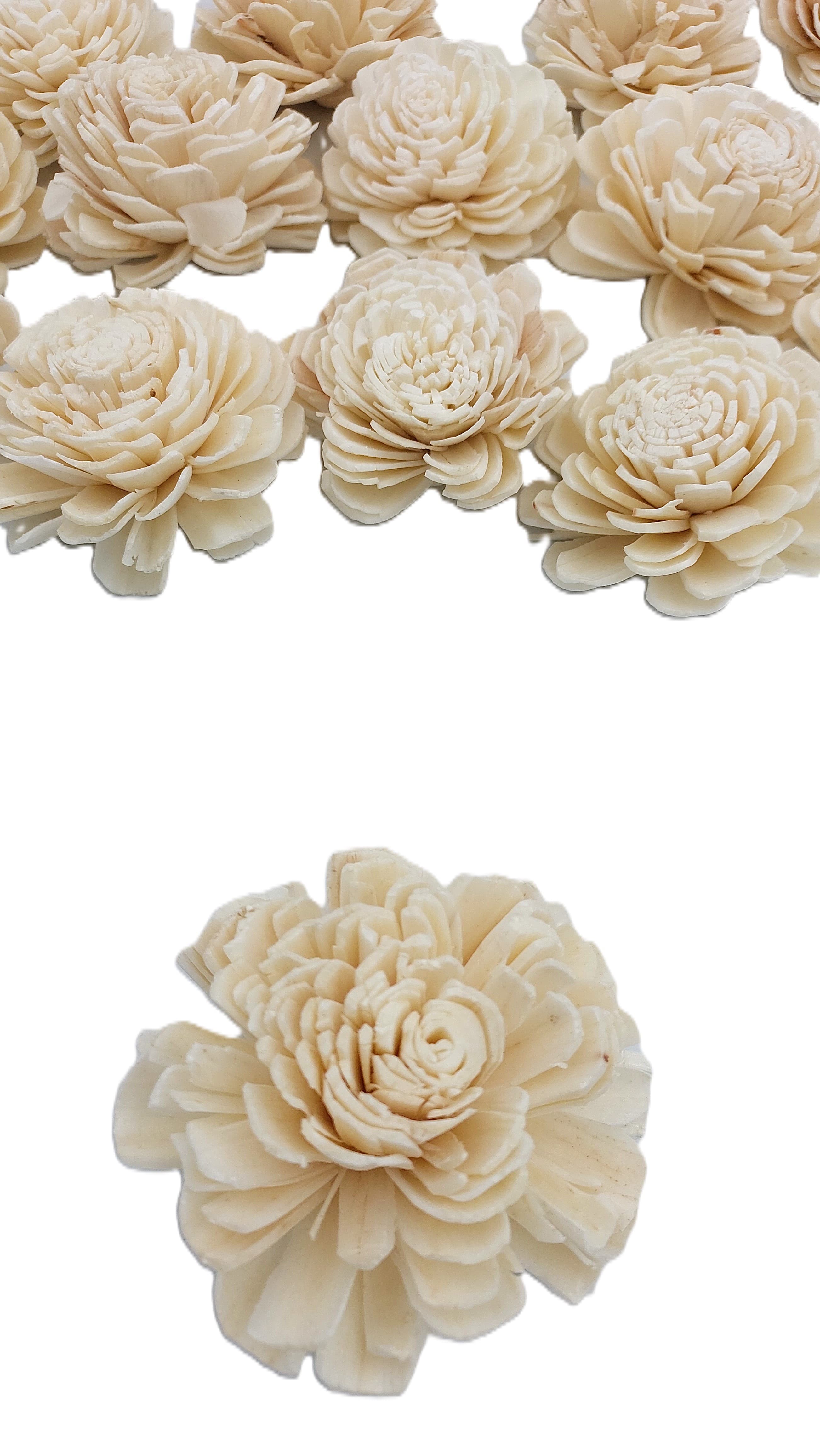 Shola główki Róża - Beli duża 6 cm - 24 sztuk