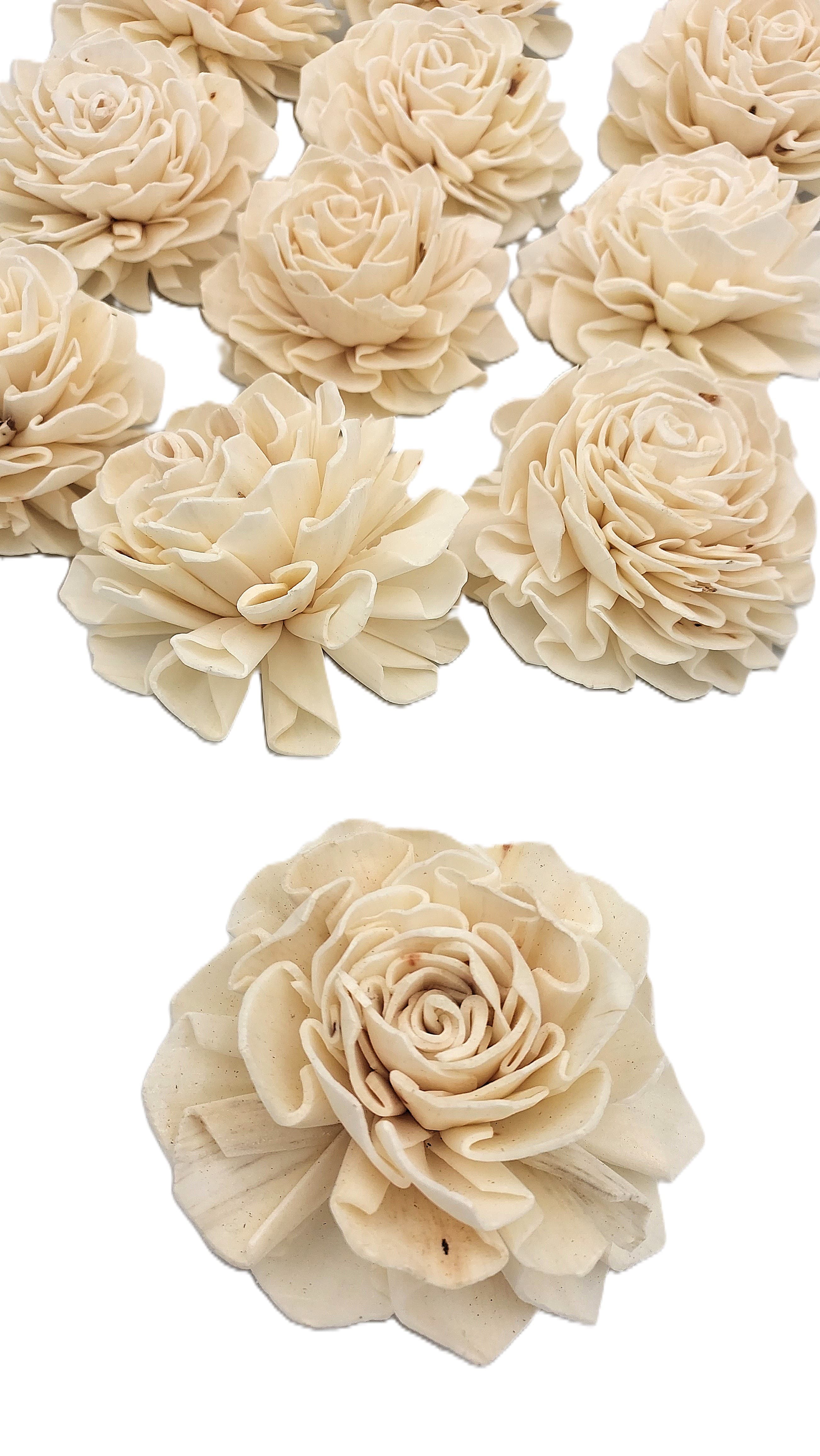 Shola główki Róża - Dalia duża 8 cm - 12 sztuk