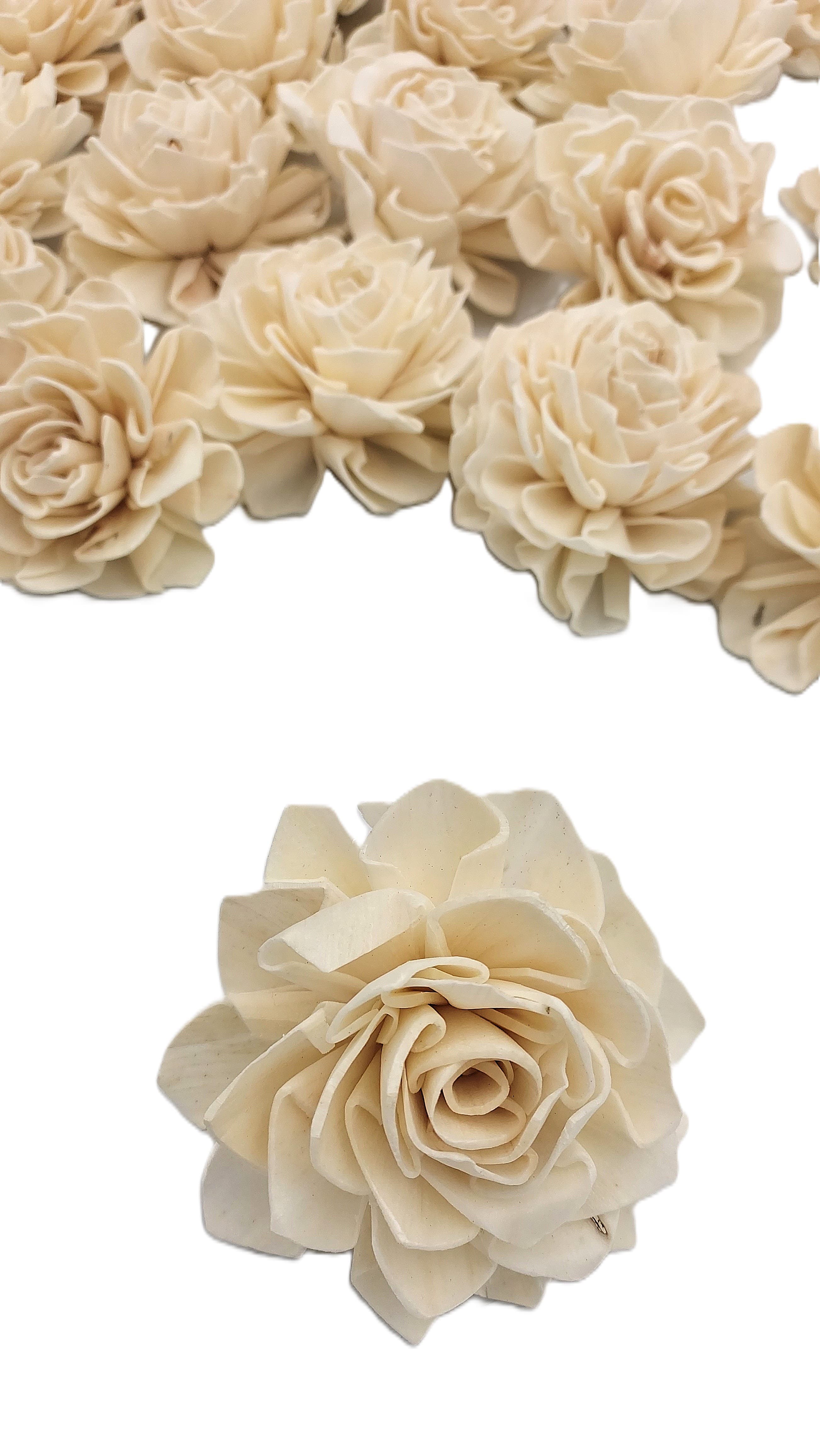 Shola główki Róża - Dalia mała 6 cm - 24 sztuk