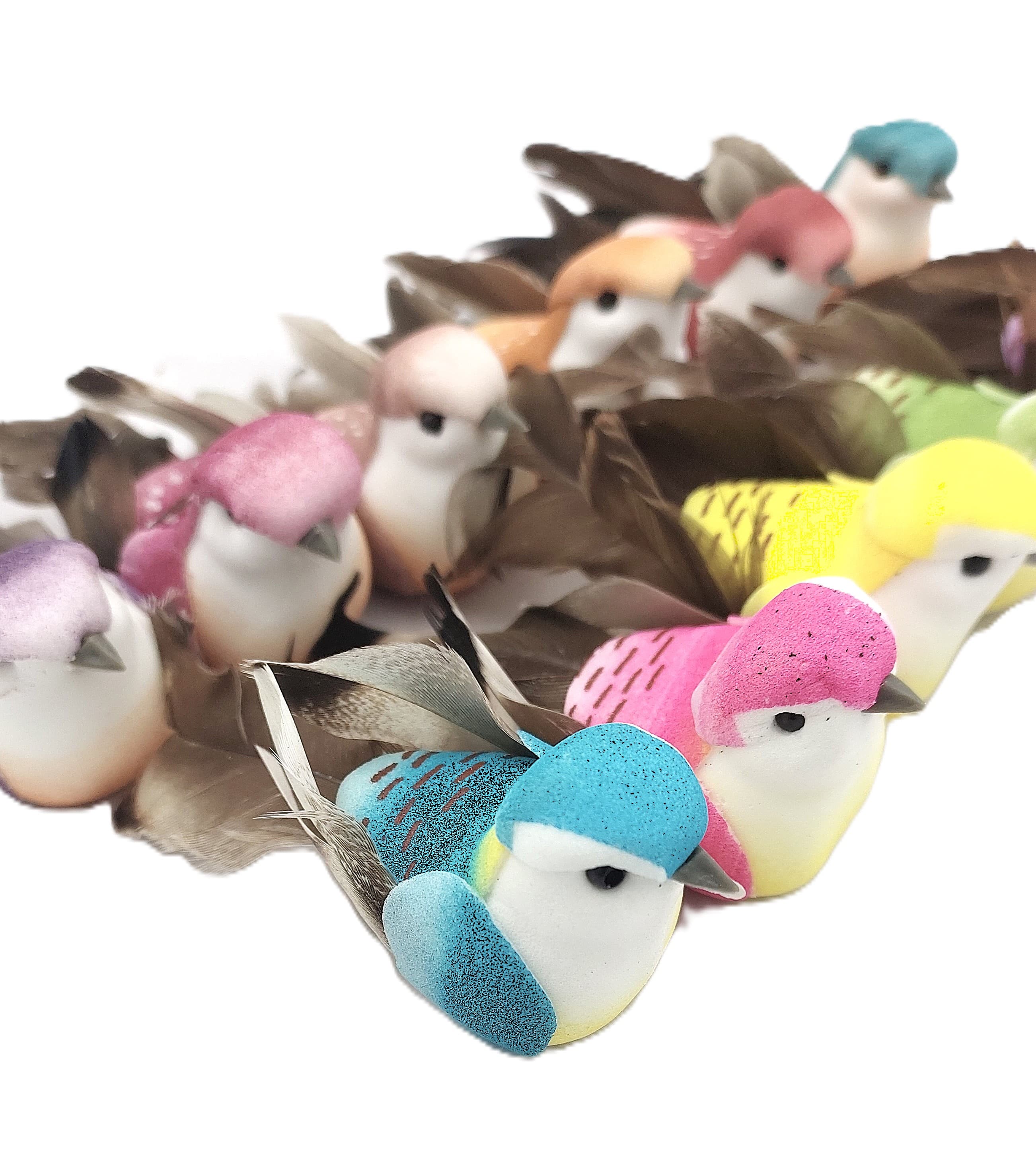 Ptaki kolorowe średnie na klipsie, 7,5x2,5/12 szt