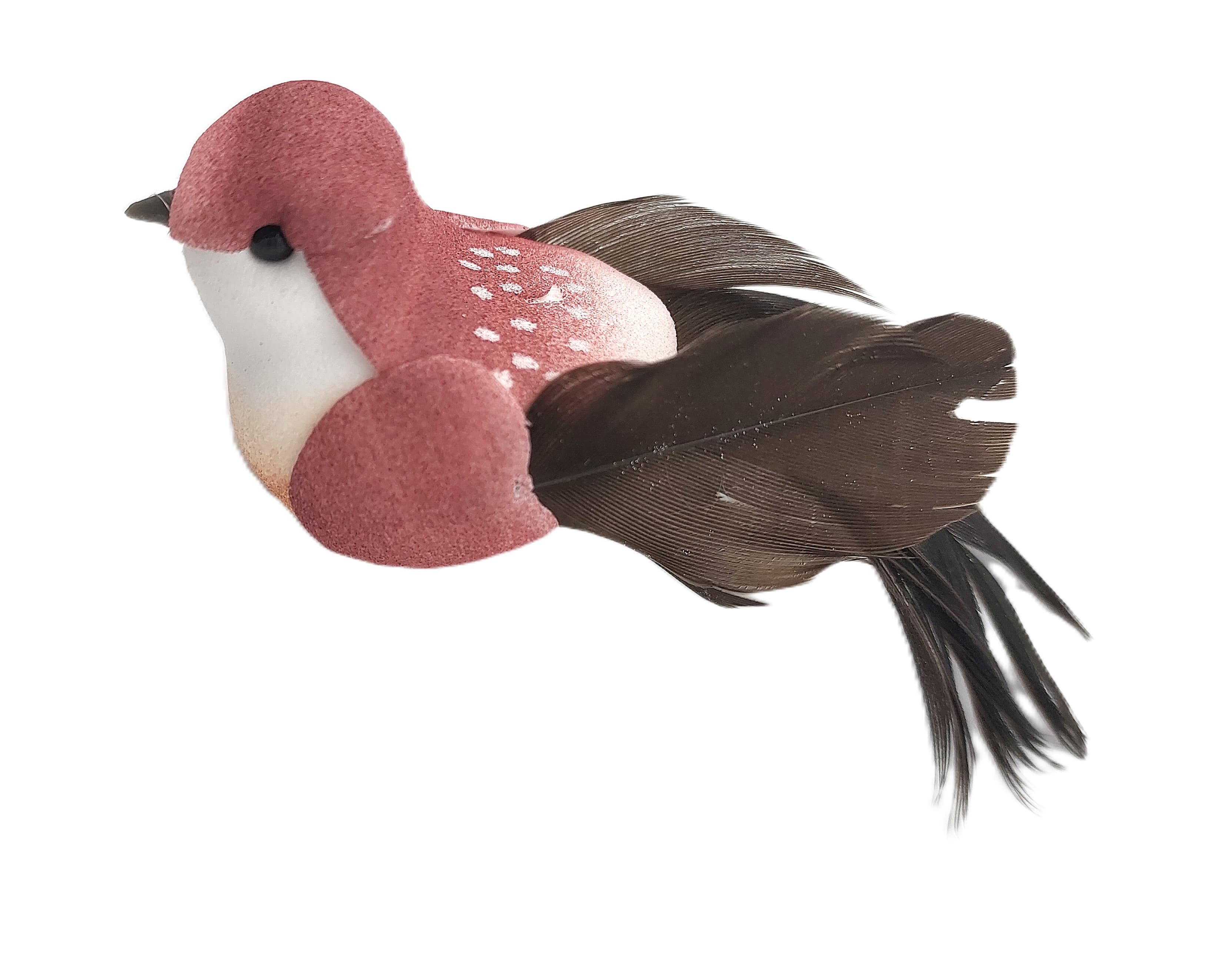 Ptaki kolorowe średnie na klipsie, 7,5x2,5/12 szt