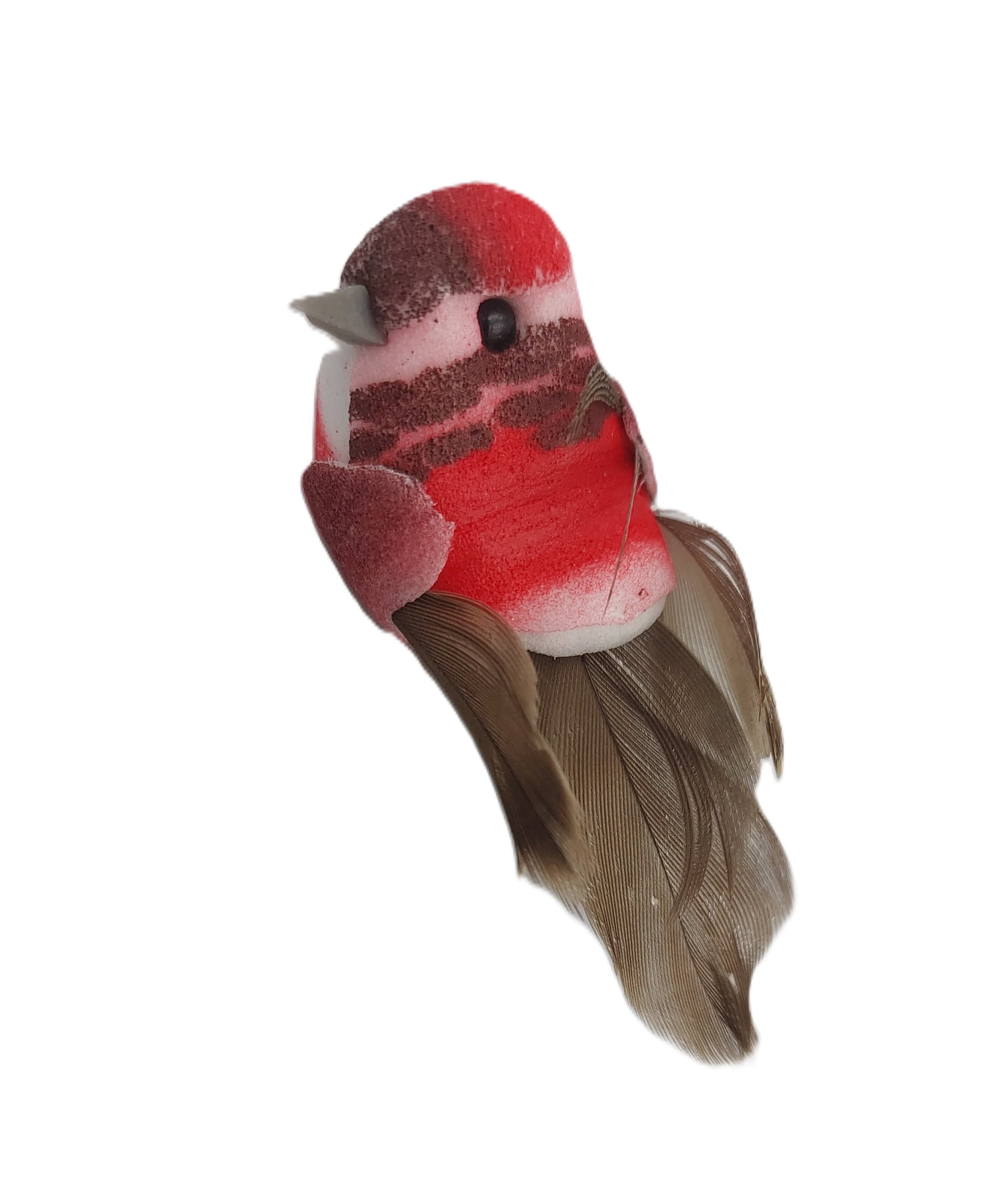 Ptaki kolorowe duże na klipsie, 5x2cm/12 szt.