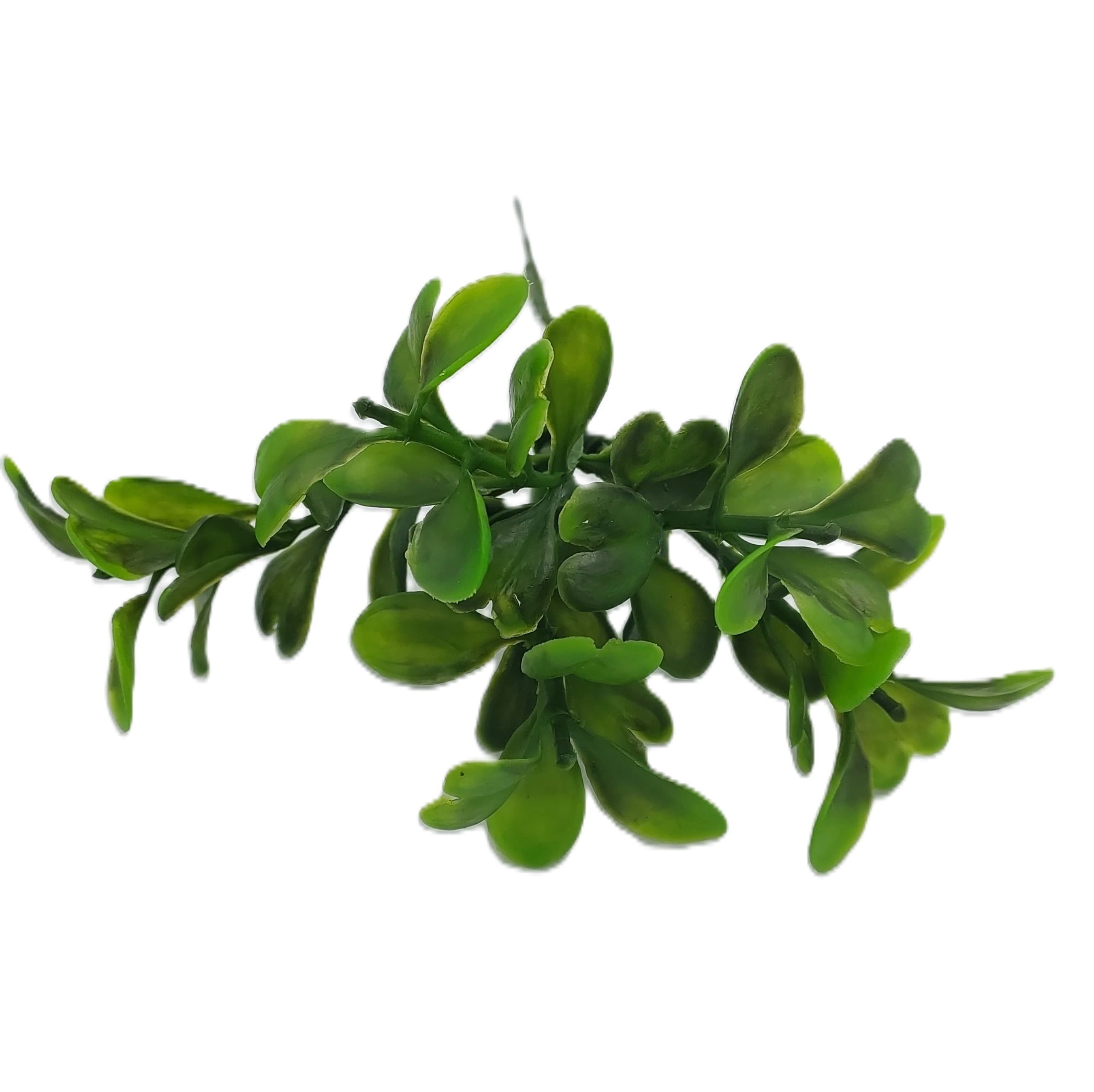 Gałązka bukszpanu borówka na drucie 19 cm 1 szt.