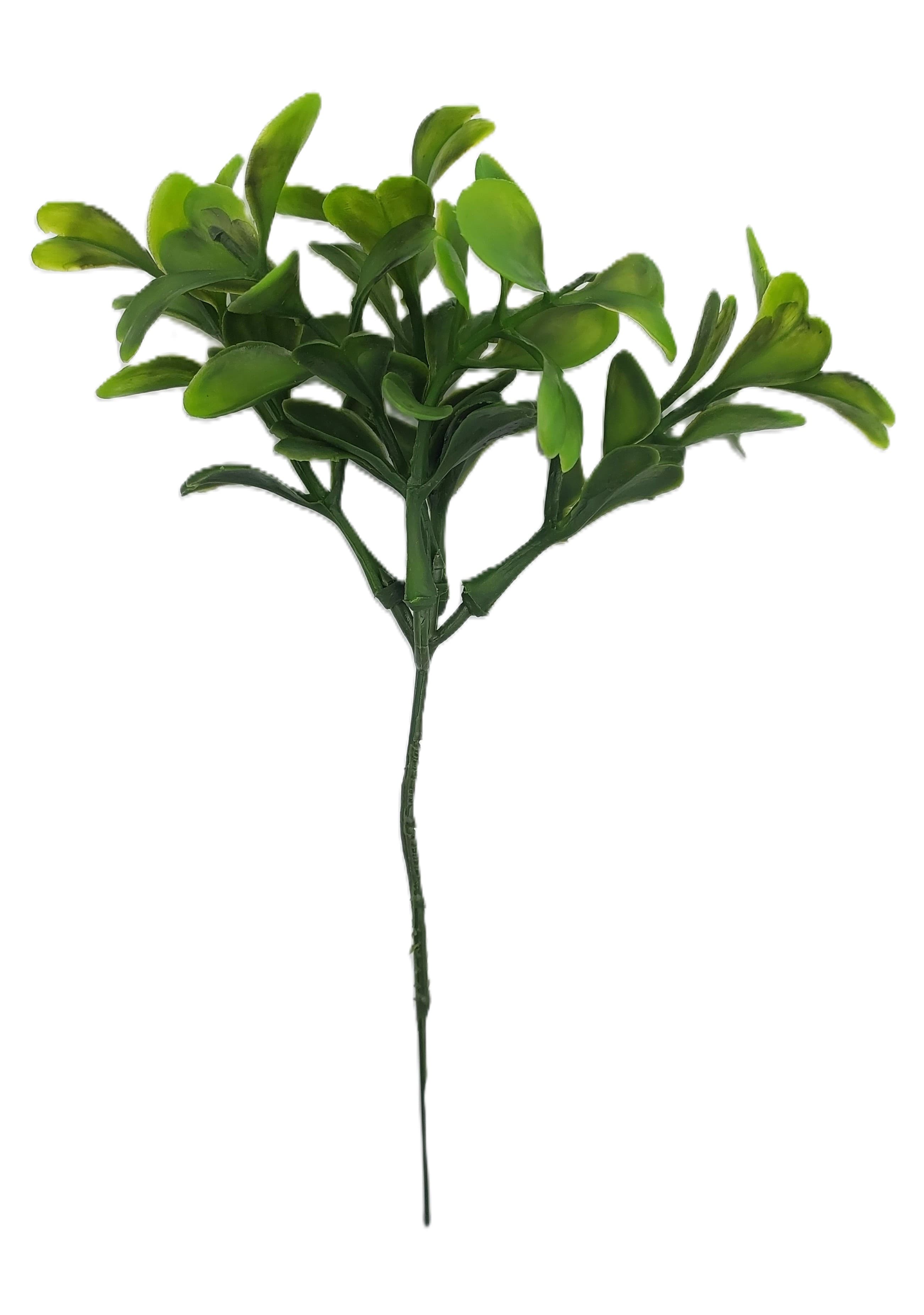 Gałązka bukszpanu borówka na drucie 19 cm 1 szt.