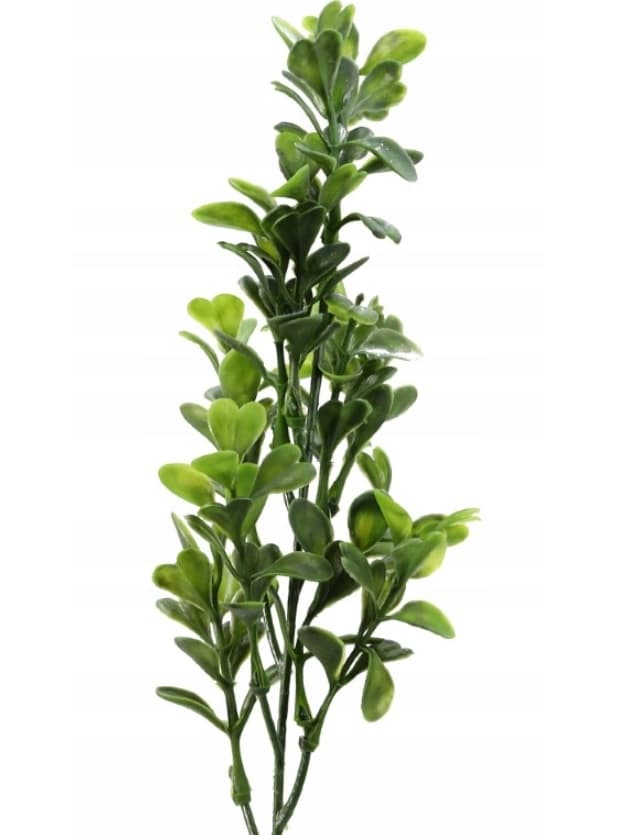 Gałązka bukszpanu borówka na drucie 44 cm 1 szt.