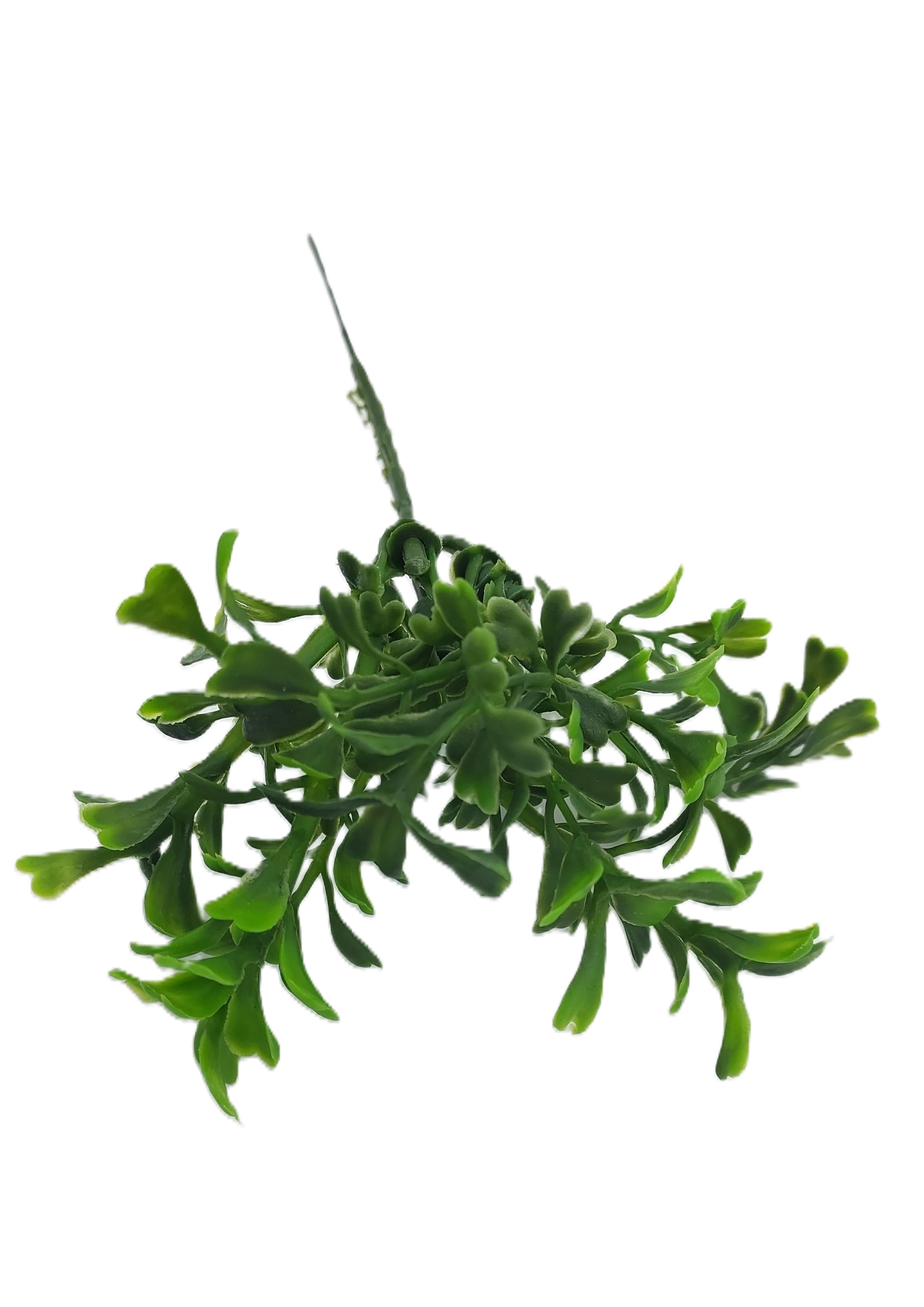 Gałązka bukszpanu borówka na drucie 16 cm 1 szt.