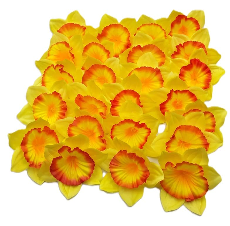 Duże główki wyrobowe Żonkili op. 24 szt. - 13 cm