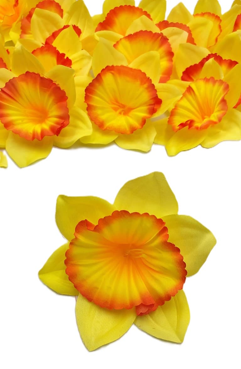 Duże główki wyrobowe Żonkili op. 24 szt. - 13 cm